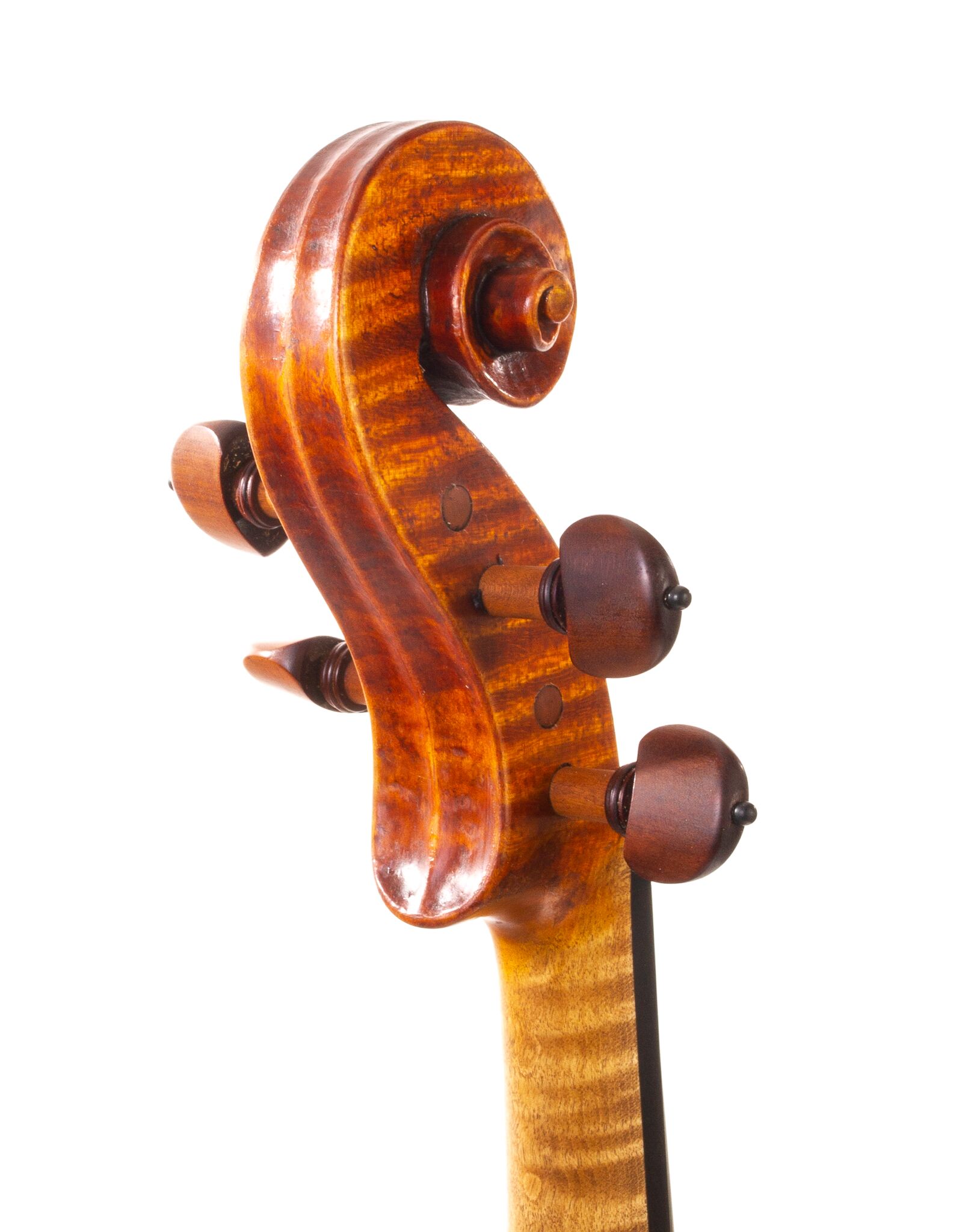 Marinos-Glitsos-Viola-2024-06