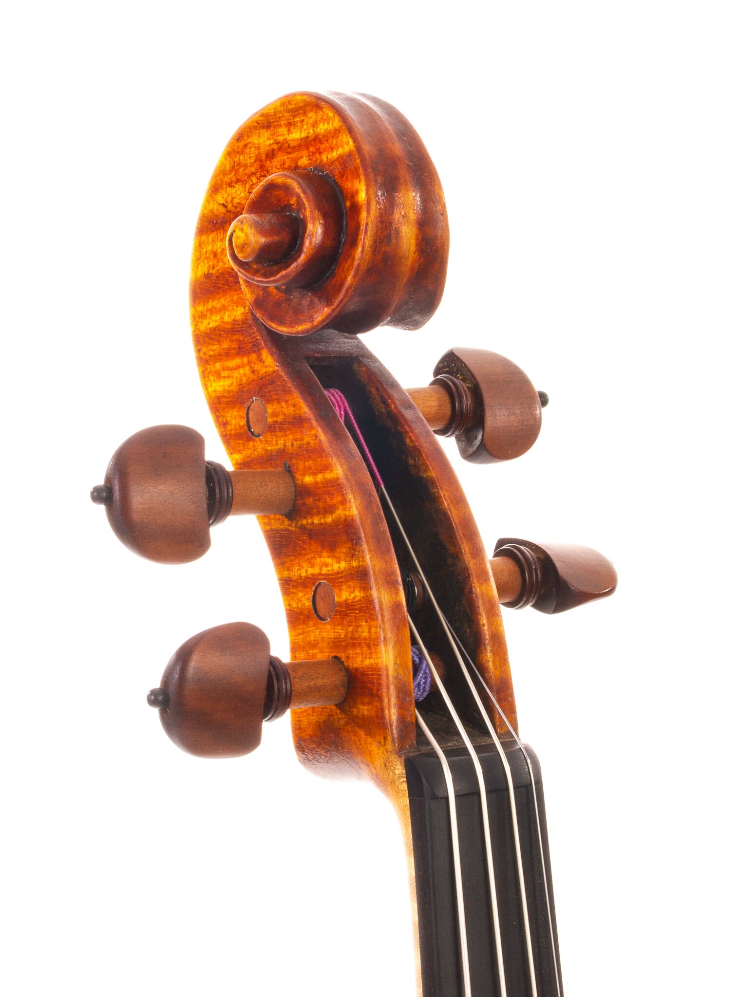 Marinos-Glitsos-Viola-2024-10