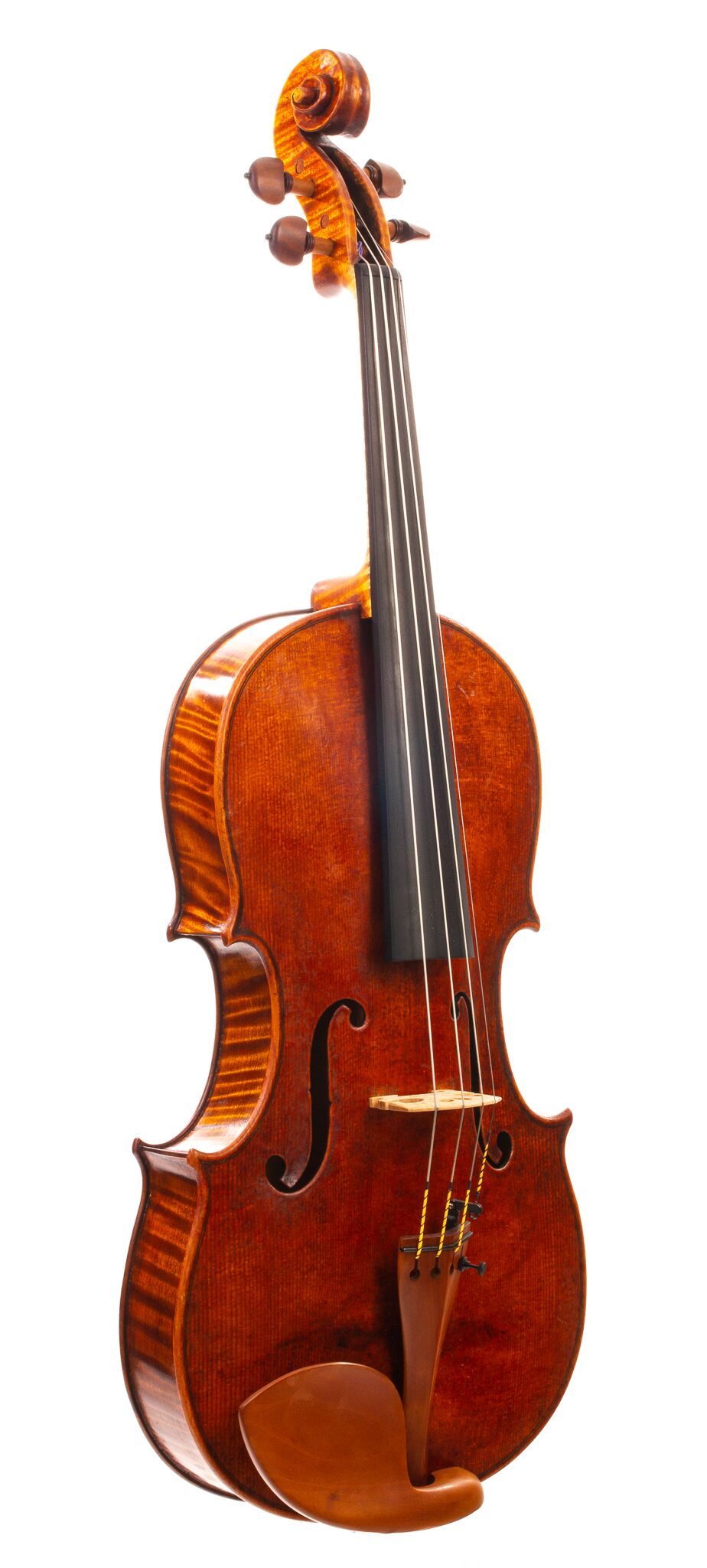 Marinos-Glitsos-Viola-2024-11