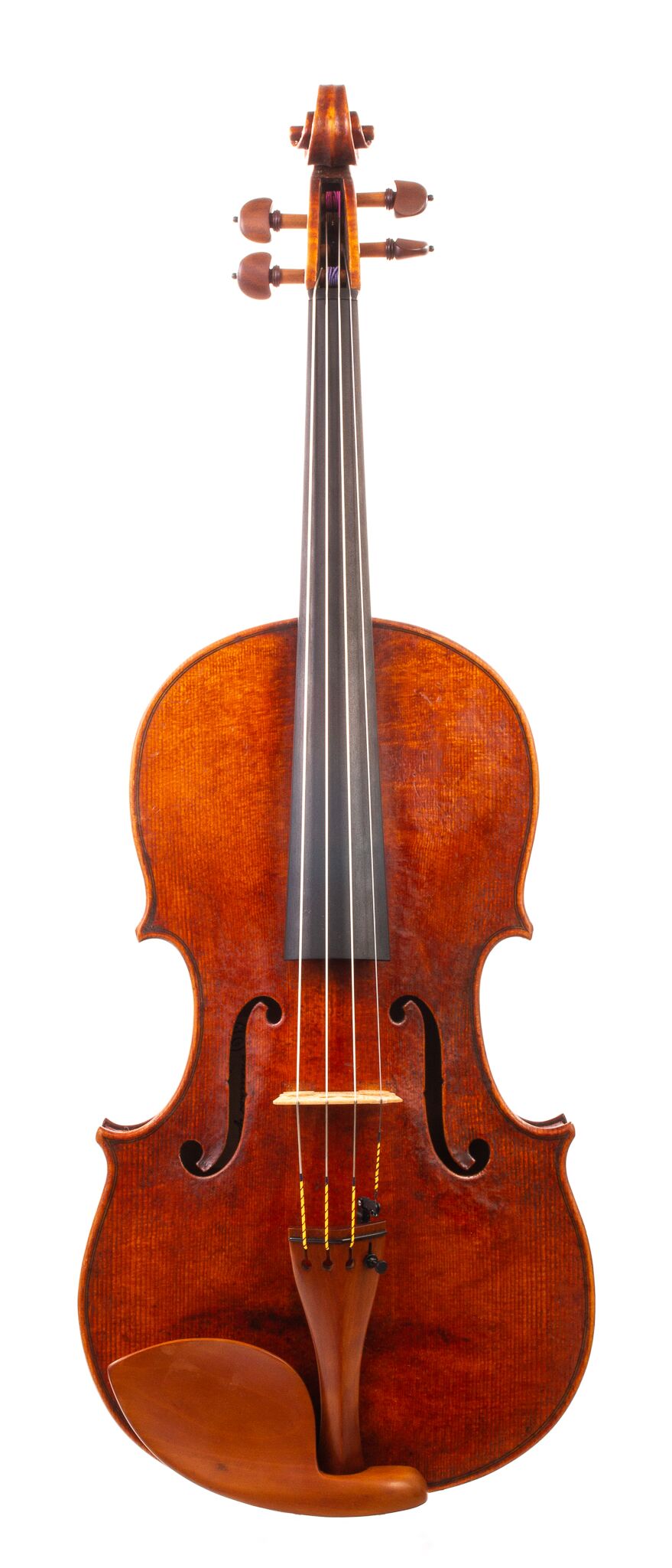 Marinos-Glitsos-Viola-2024-15