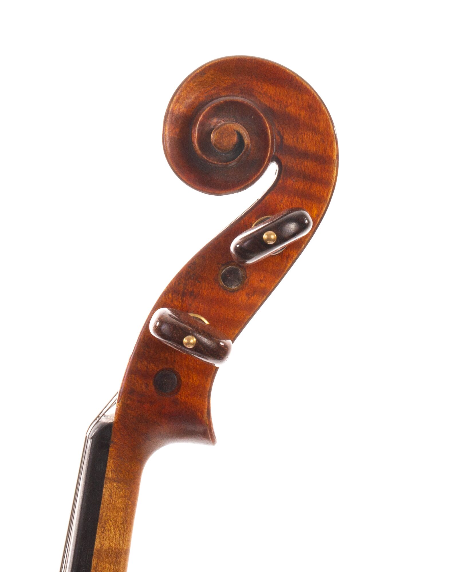 Viola-labeled-Nicolas-Bertholini-01
