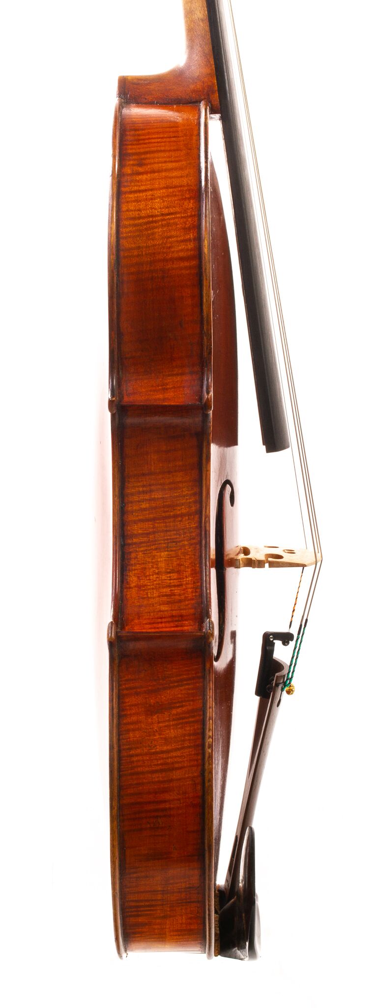 Viola-labeled-Nicolas-Bertholini-09