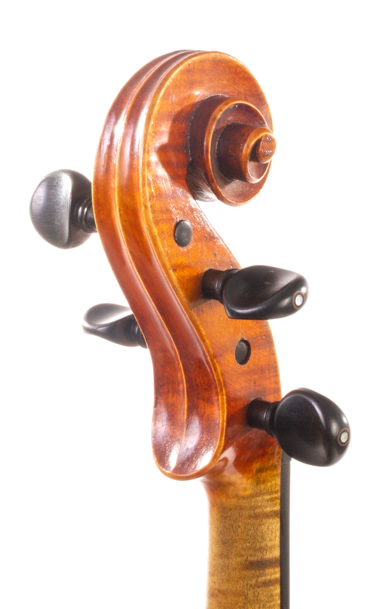 Albert Theo Heberlein Viola 1948-02