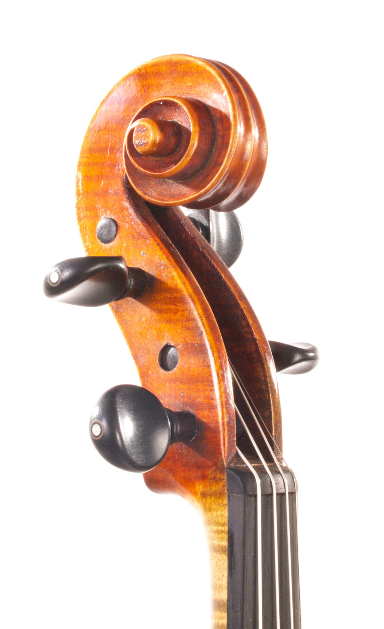 Albert Theo Heberlein Viola 1948-04