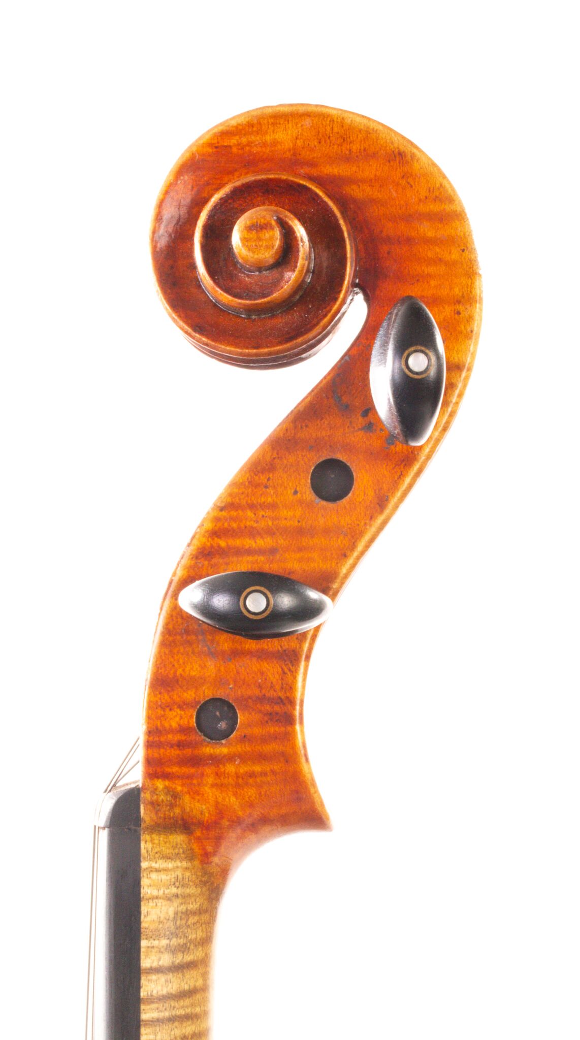 Albert Theo Heberlein Viola 1948-05