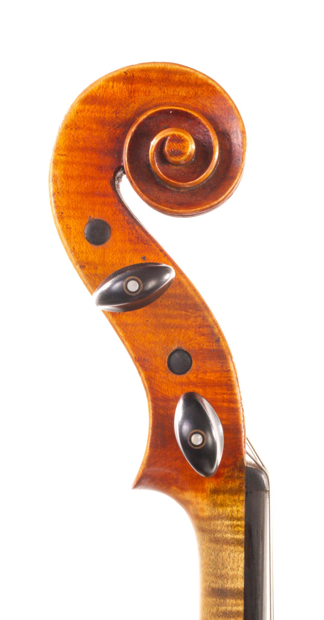 Albert Theo Heberlein Viola 1948-06