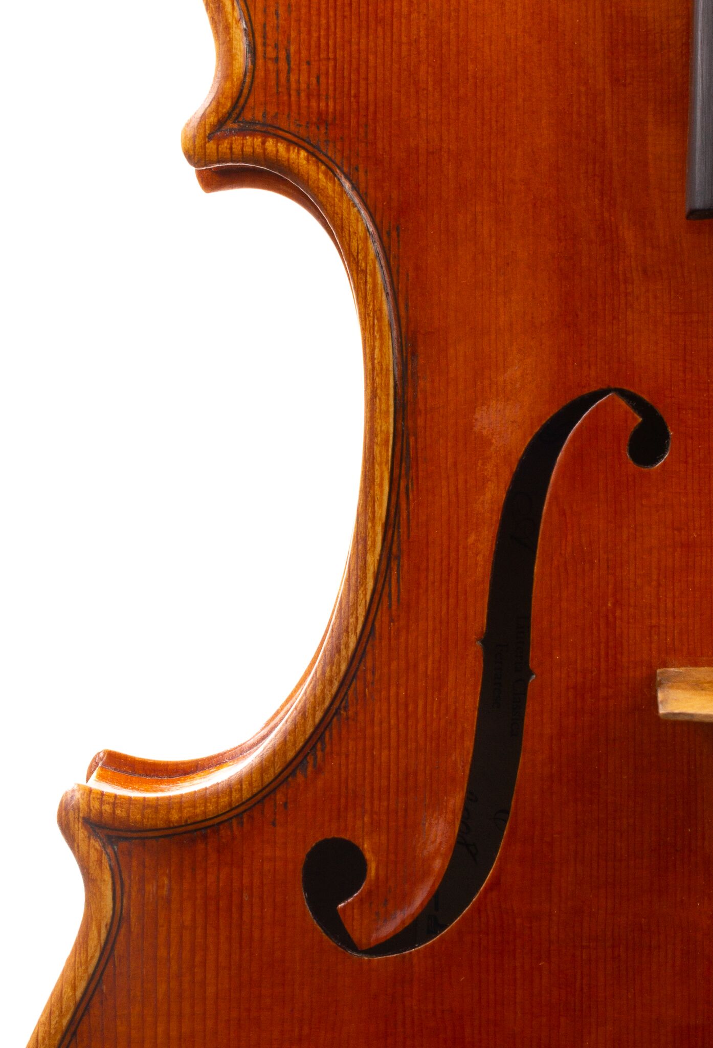 Alessandro Ciciliati Viola 2008-01