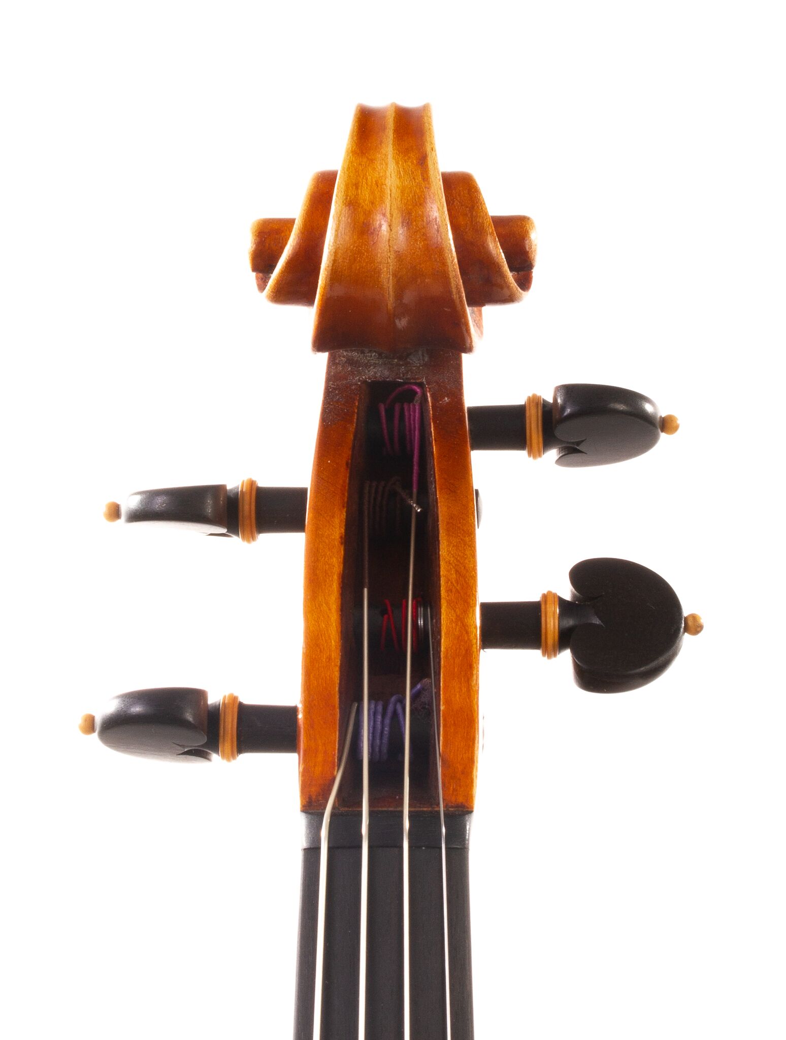 Alessandro Ciciliati Viola 2008-03