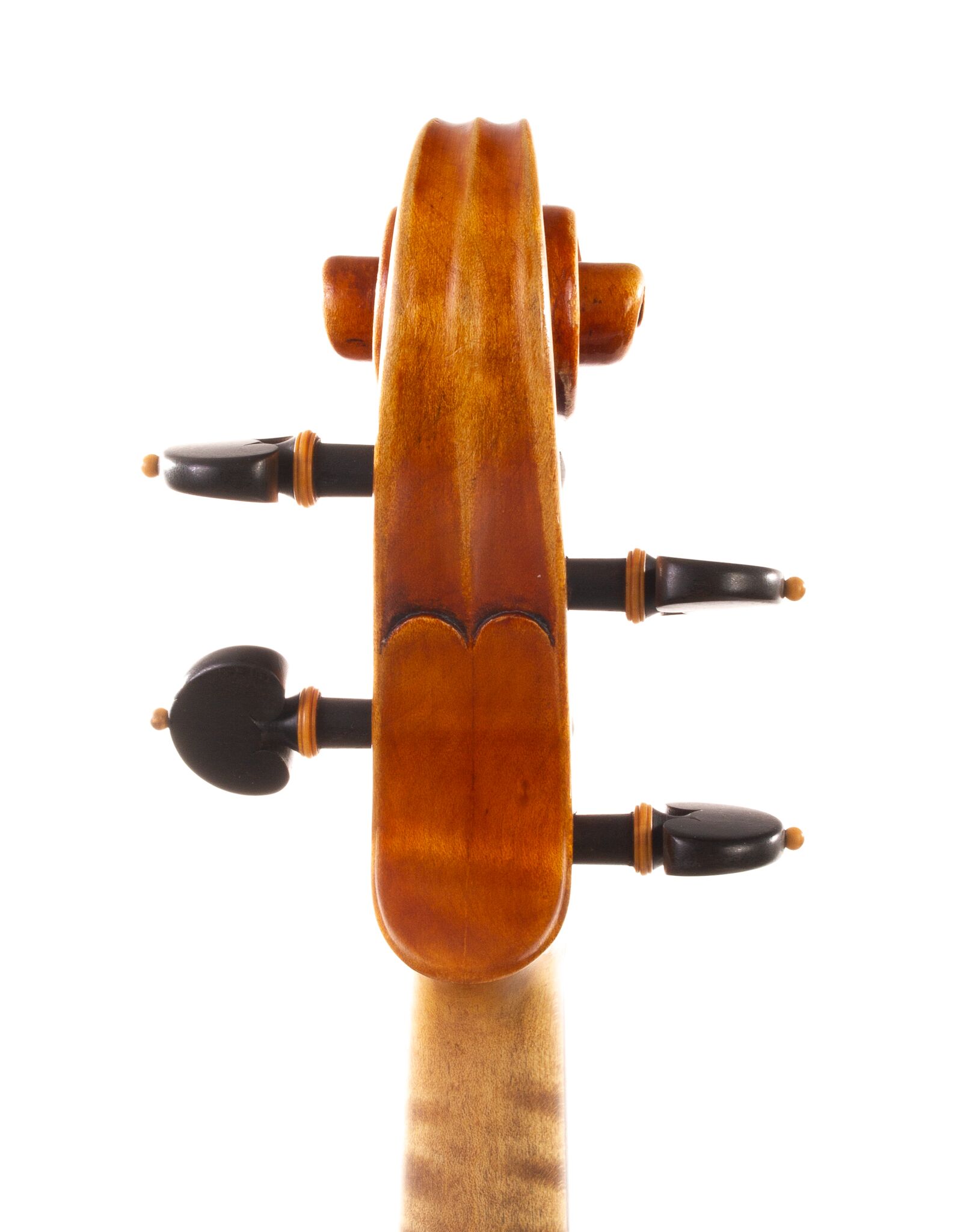 Alessandro Ciciliati Viola 2008-04