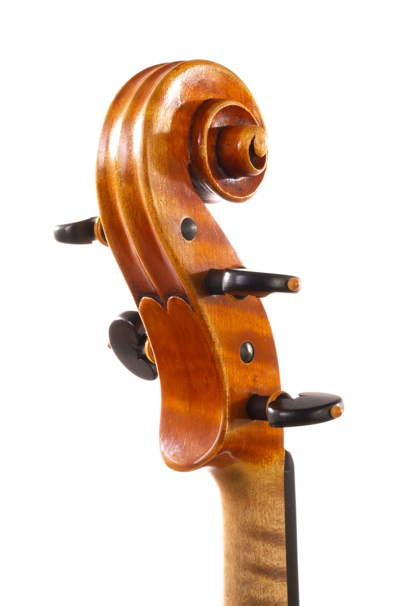 Alessandro Ciciliati Viola 2008-05