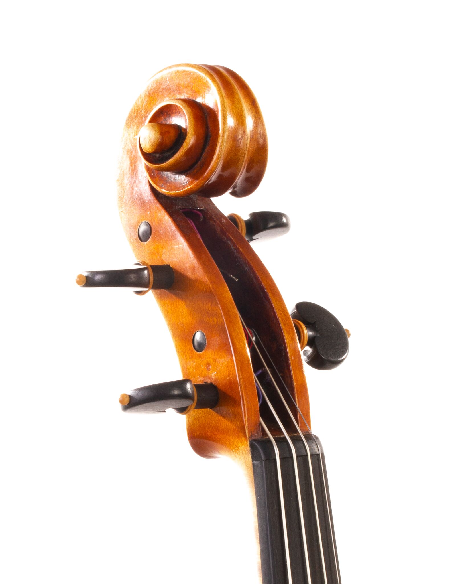 Alessandro Ciciliati Viola 2008-06