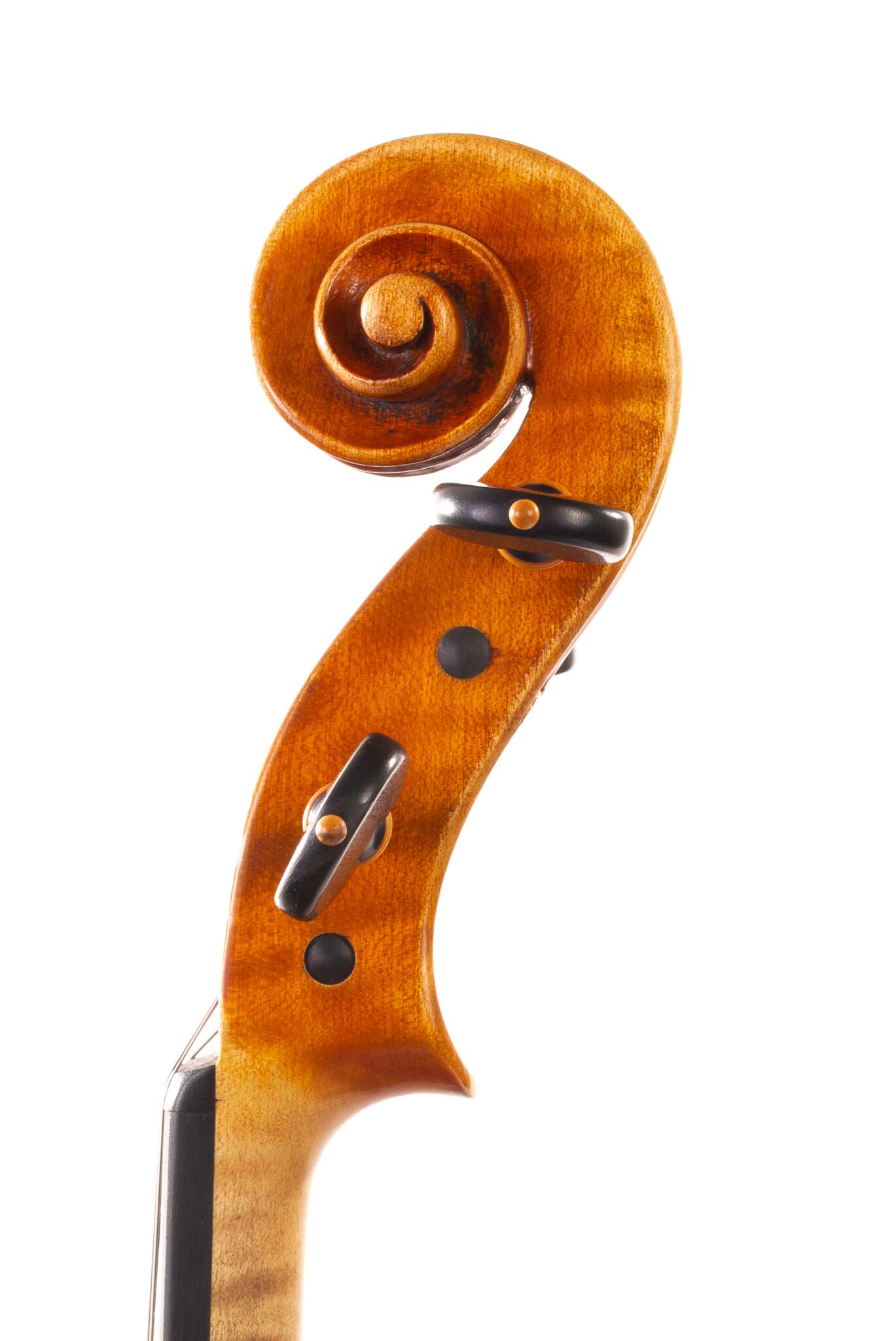 Alessandro Ciciliati Viola 2008-08