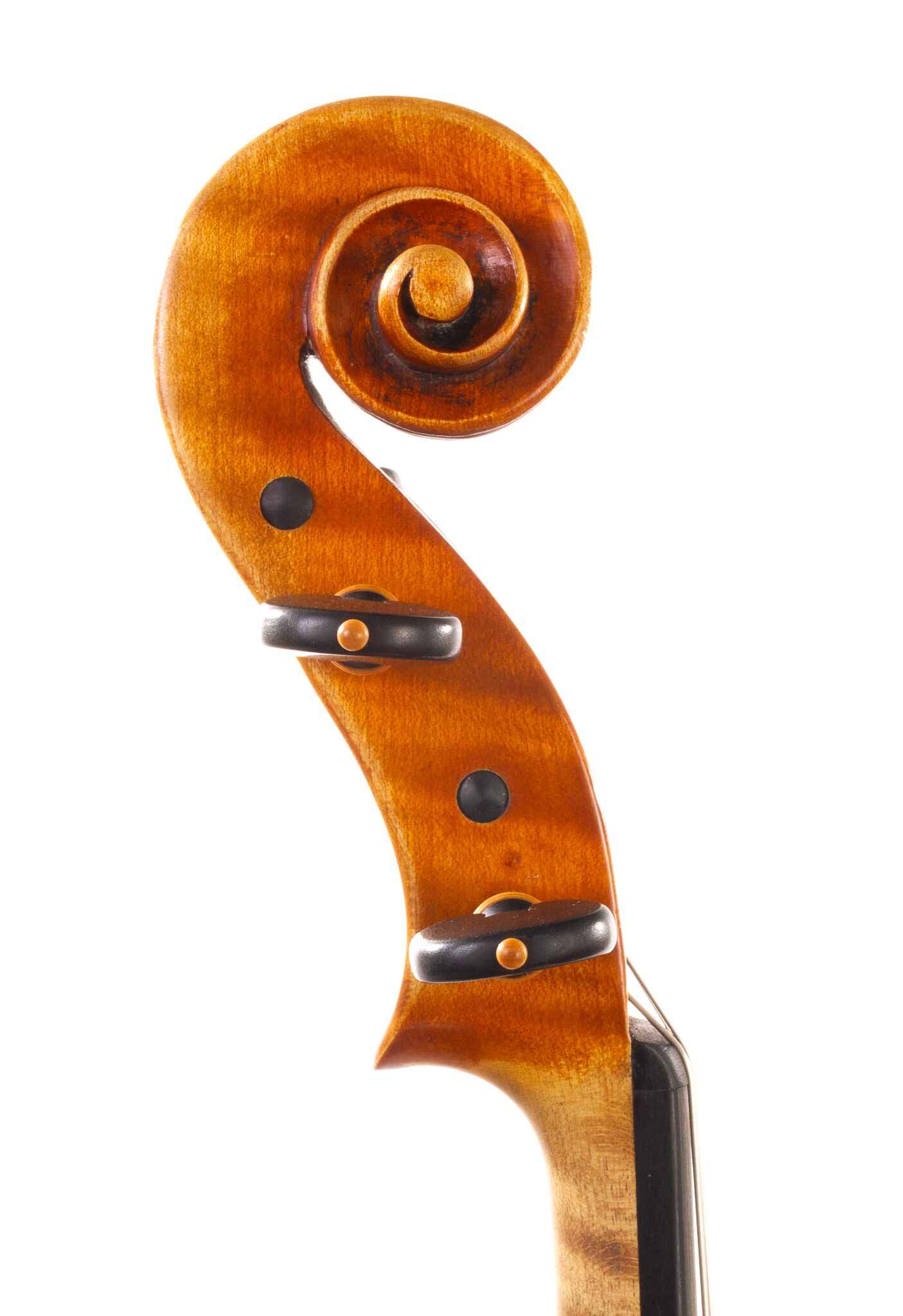 Alessandro Ciciliati Viola 2008-09