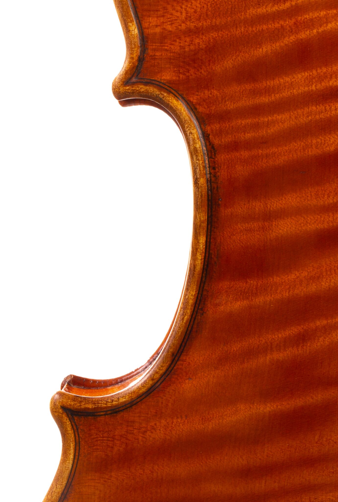 Alessandro Ciciliati Viola 2008-10