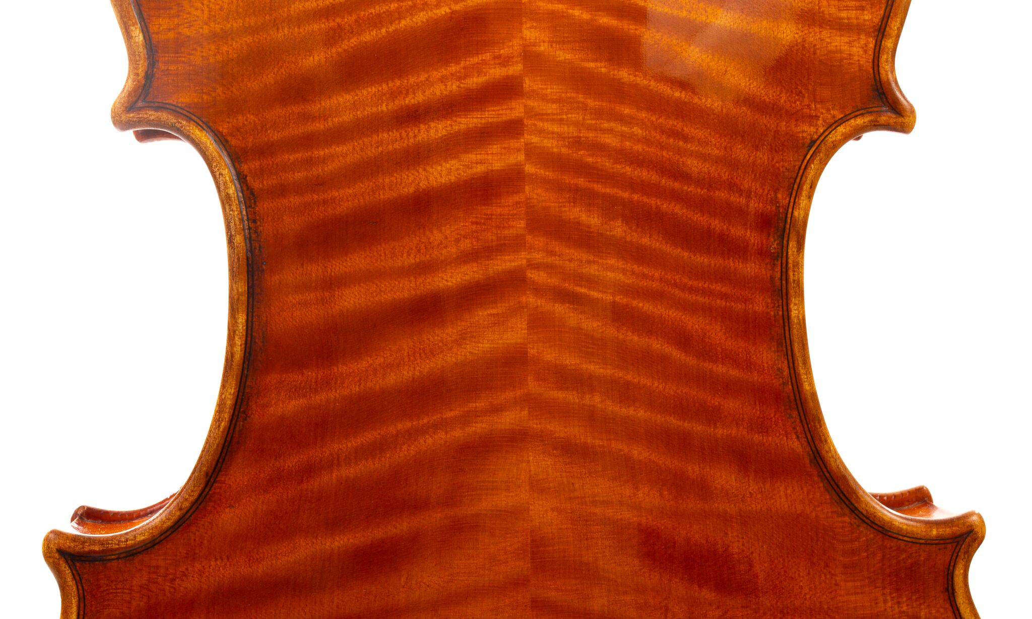 Alessandro Ciciliati Viola 2008-11