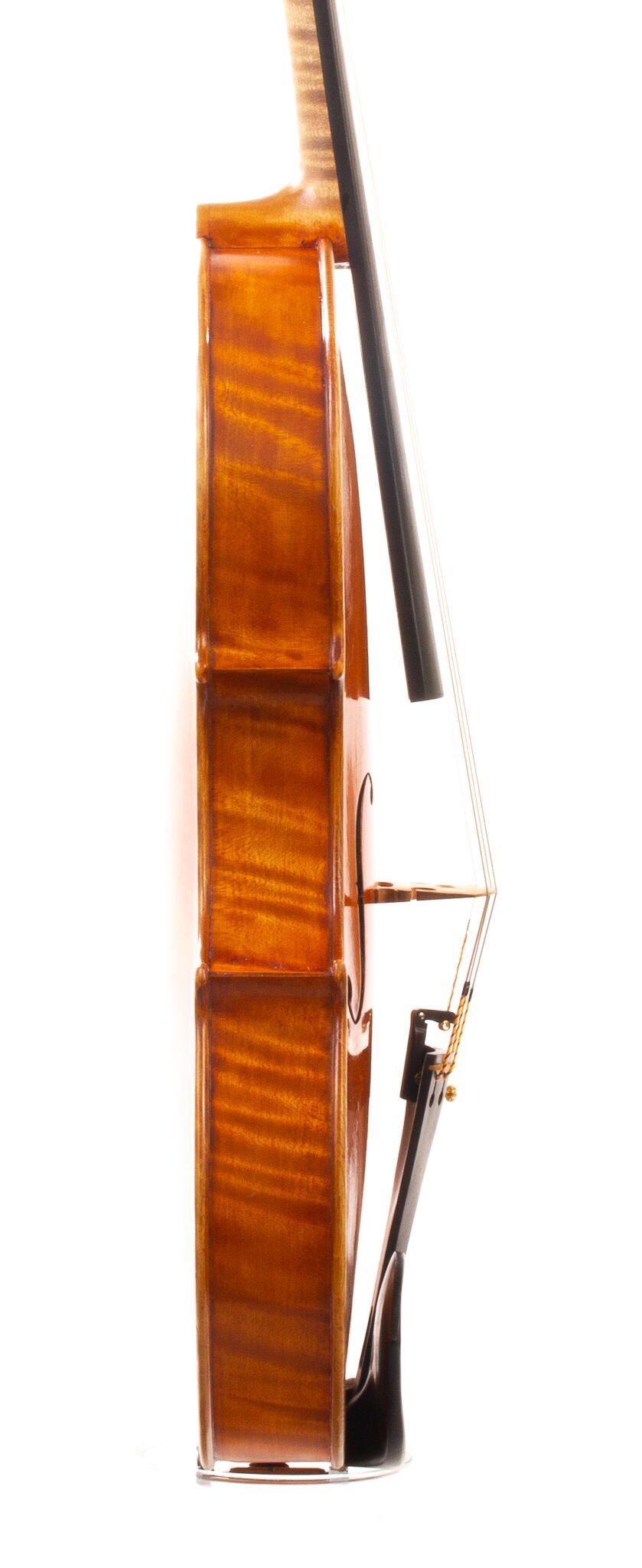 Alessandro Ciciliati Viola 2008-12