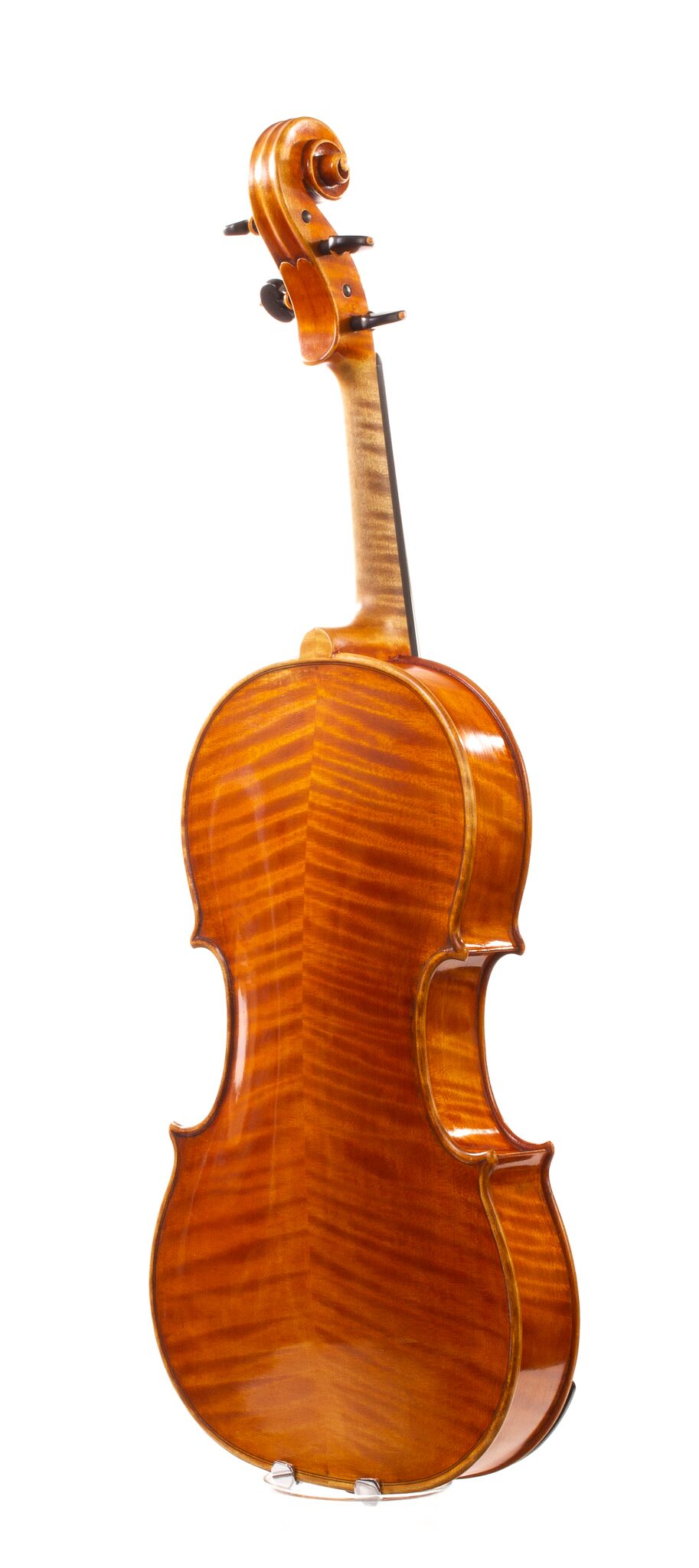 Alessandro Ciciliati Viola 2008-13