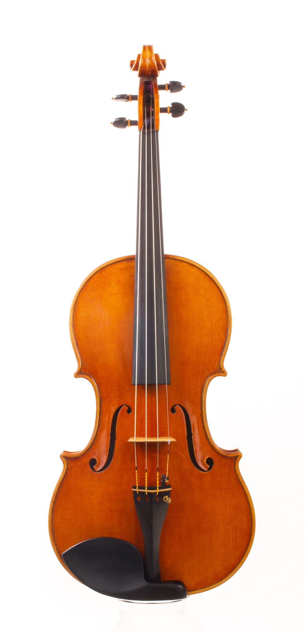 Alessandro Ciciliati Viola 2008-16