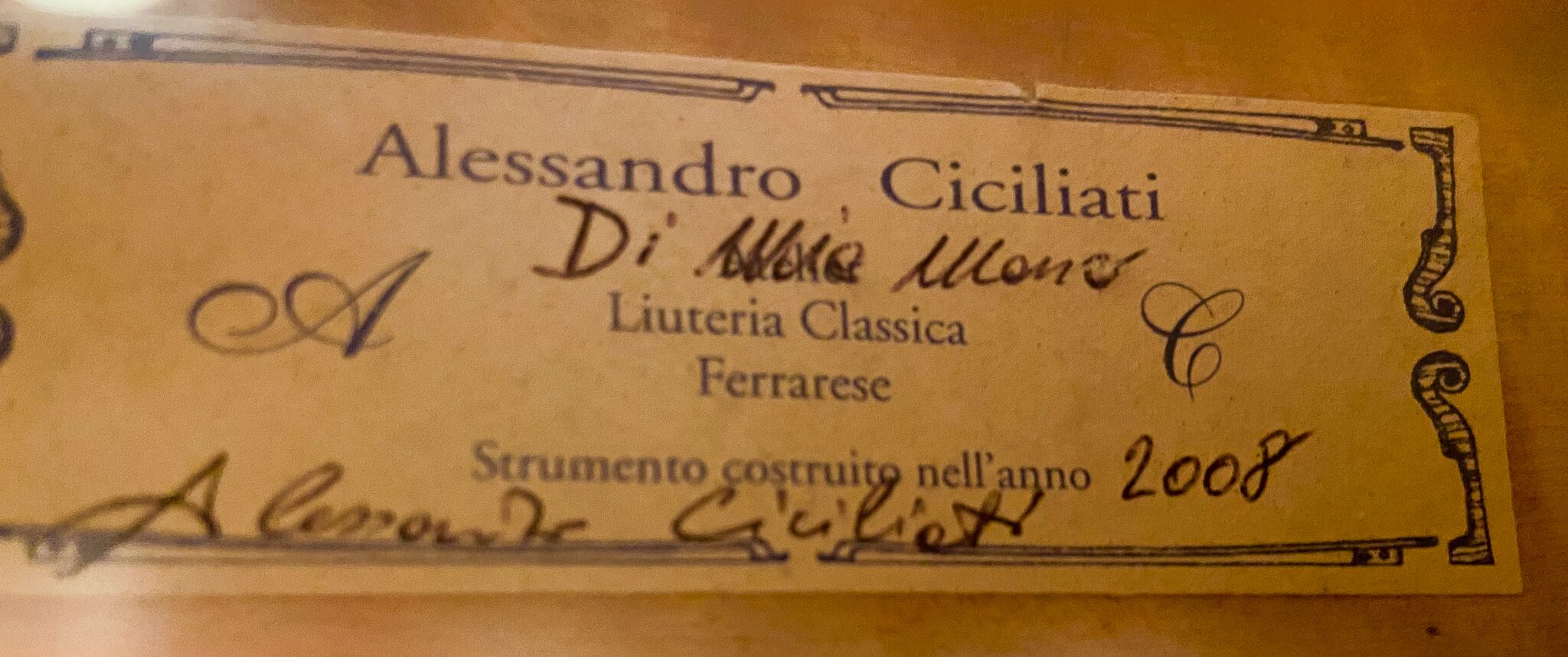 Alessandro Ciciliati Viola 2008-18