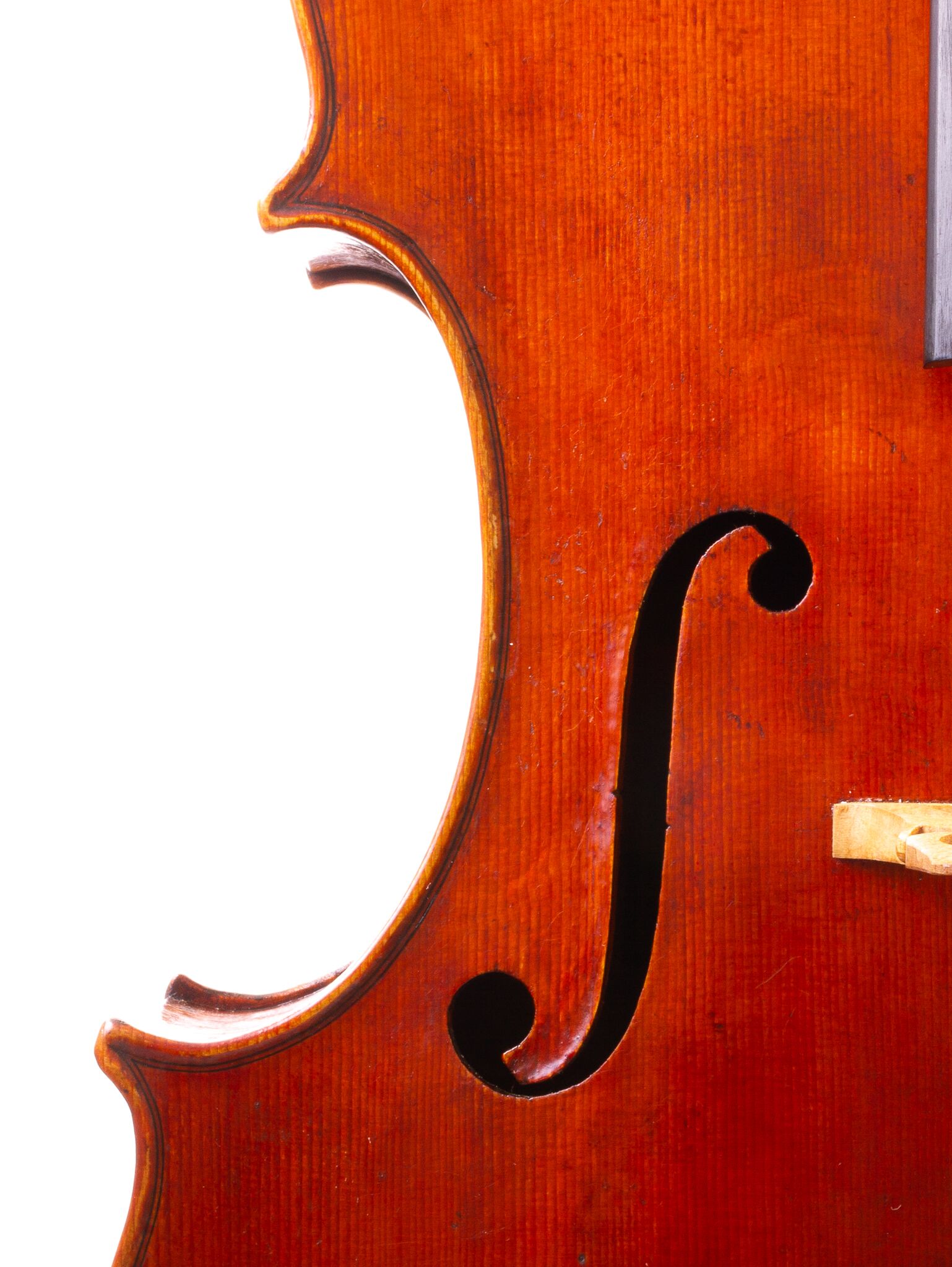 Kurt Jones Cello 2024 Forester Model-09