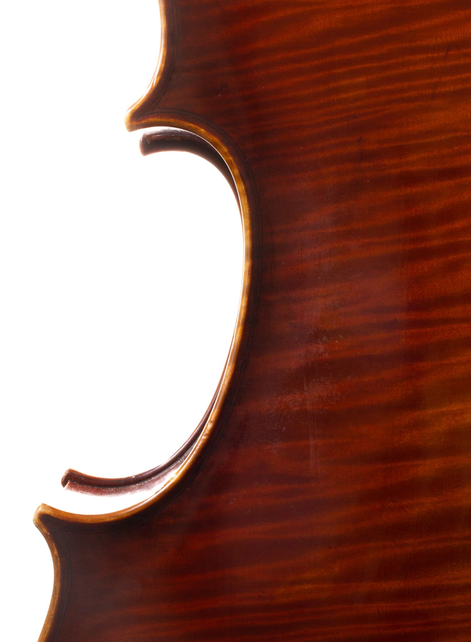 Ming Jiang Zhu Cello-13