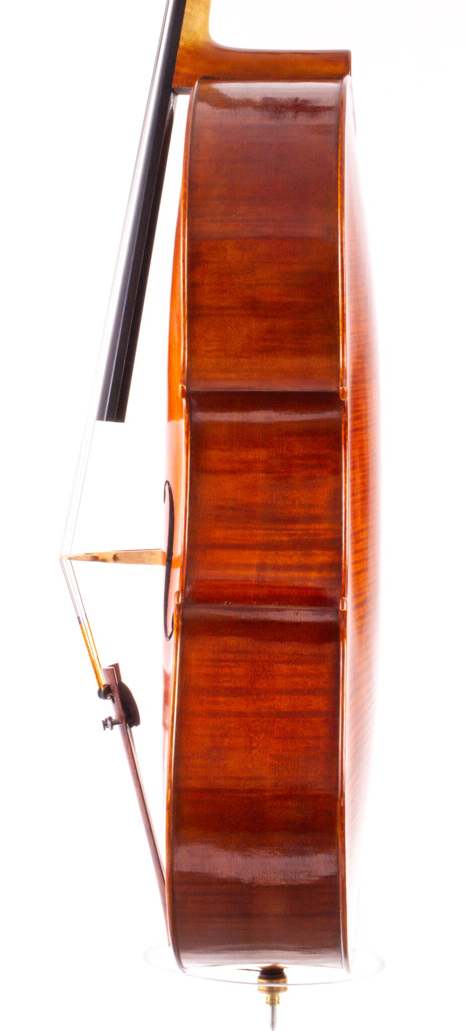 Ute Zahn 2023-1