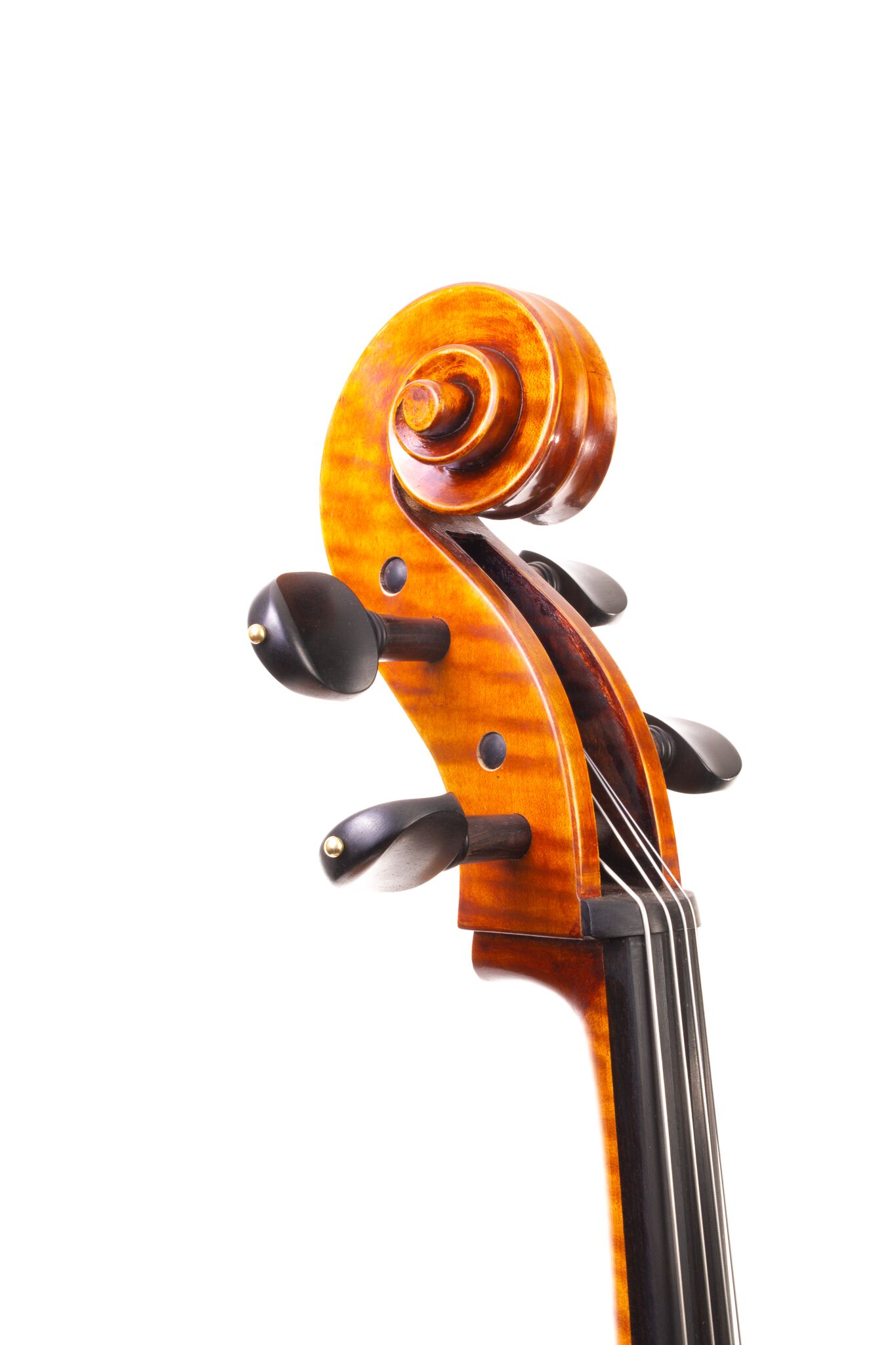 Eastman Cello 830 7_8 Size - Poplar Back-07