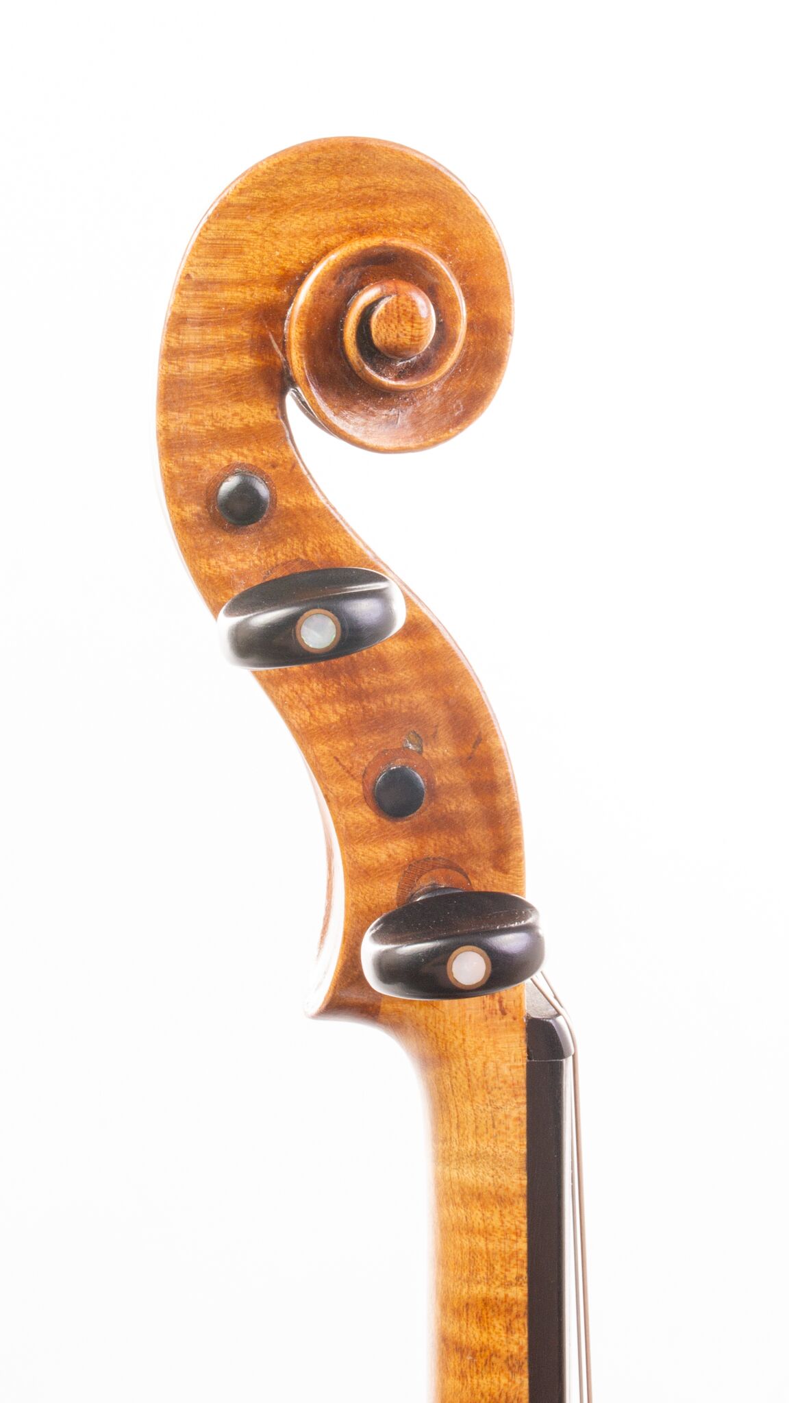 Antonio Gragnani Violin – Liburni 1784-04