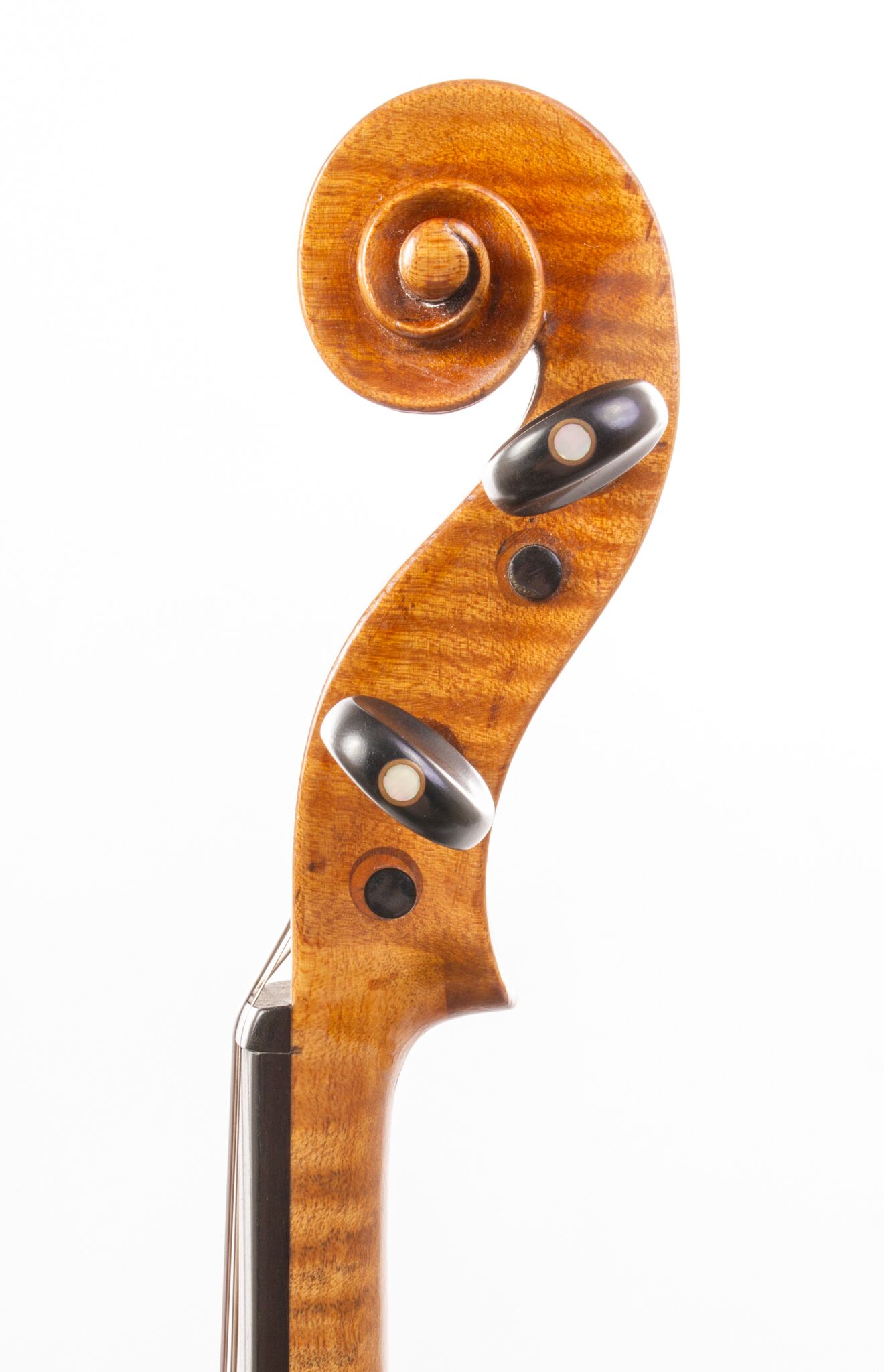Antonio Gragnani Violin – Liburni 1784-06