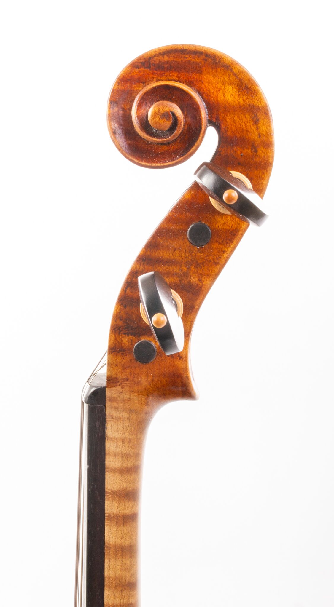 E. Heinrich Roth Violin – Markneukirchen #1849-06