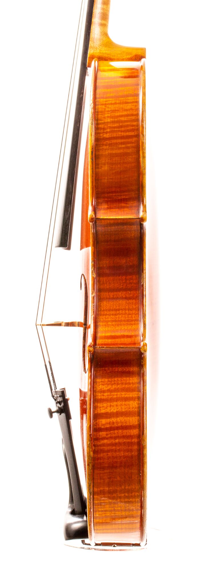 Otello Bignami Violin - Bologna 1977 | Dolce Violins