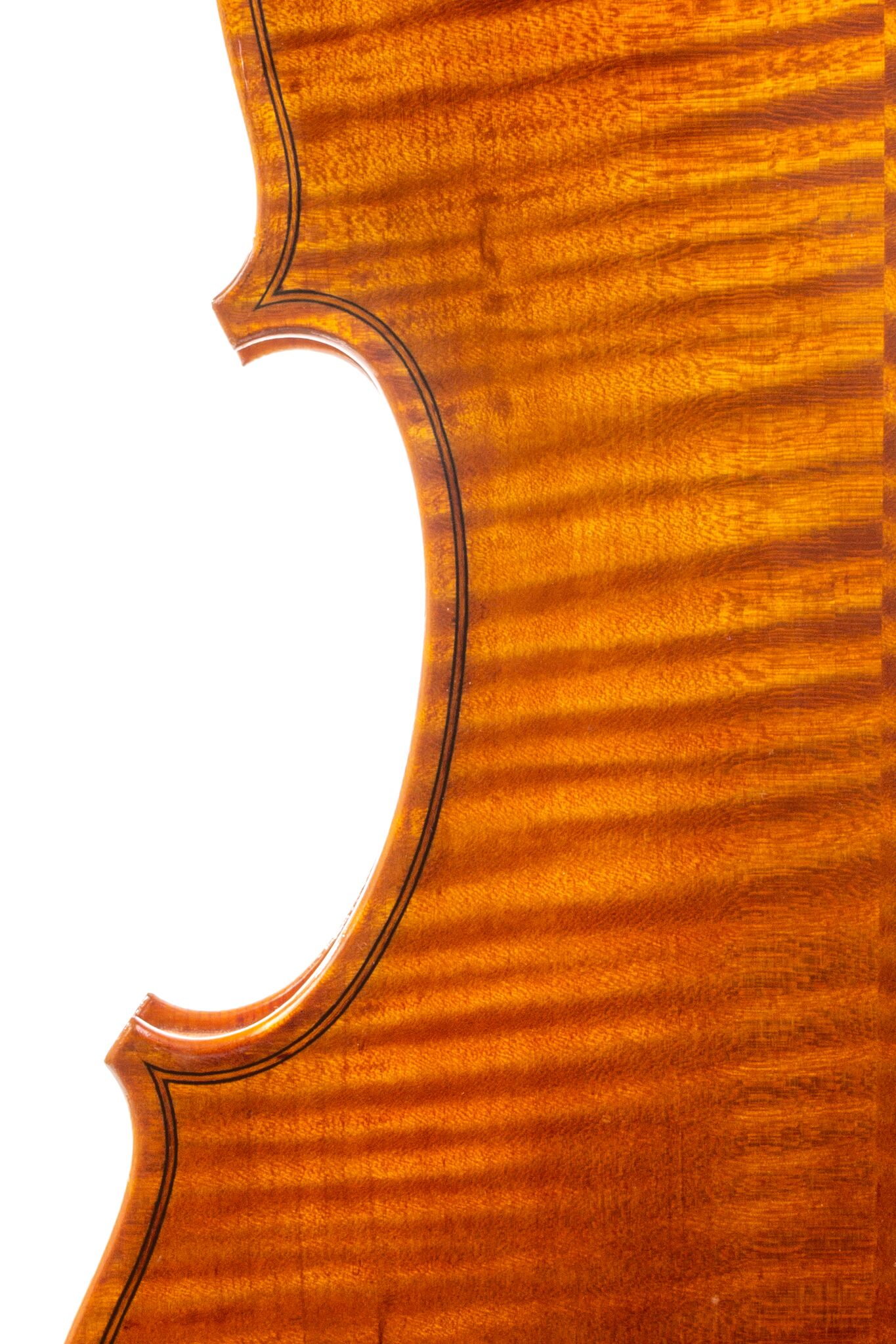 Zachary T Taylor Violin – 2014 1-4-2