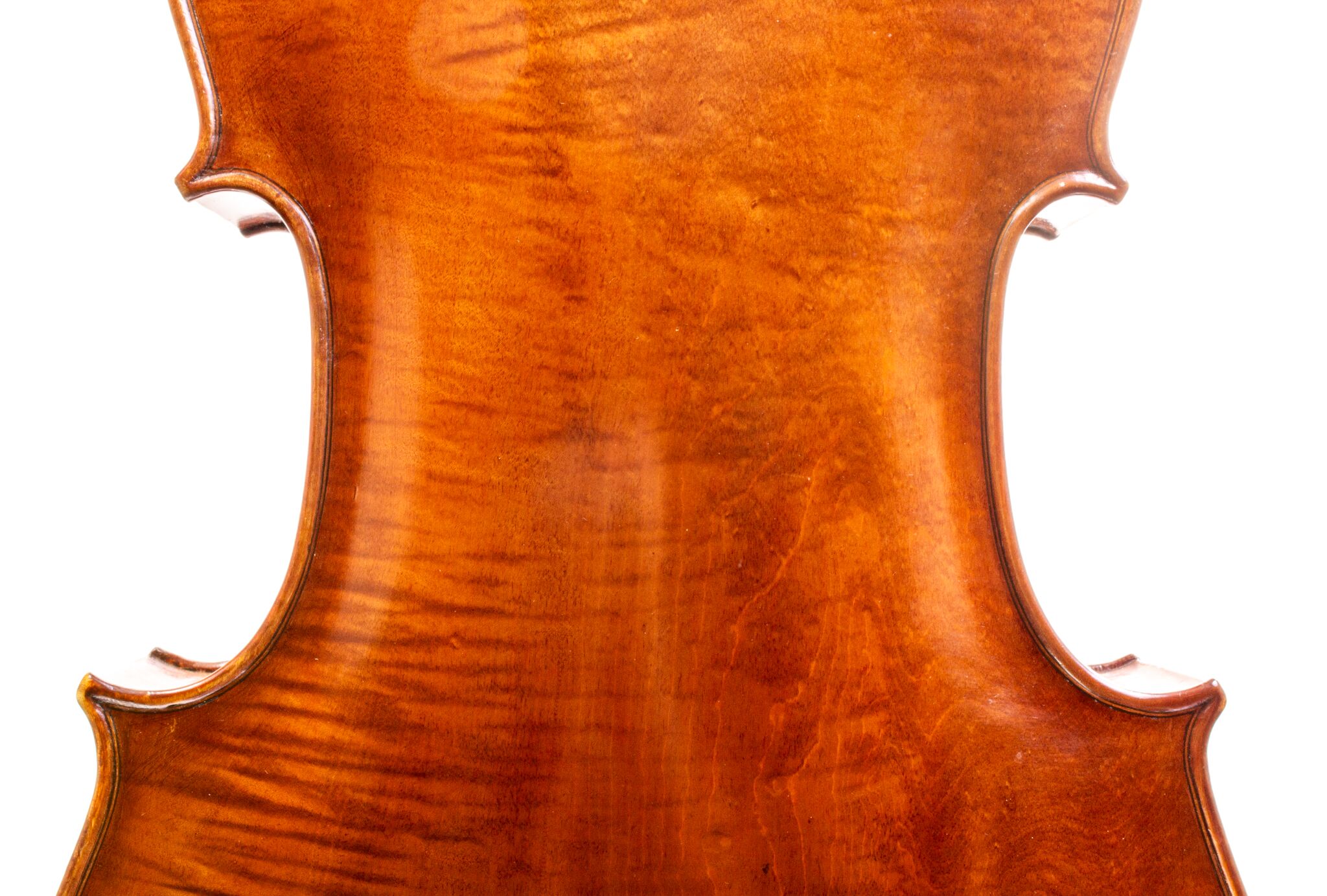 Tomassucci Cigno Cello - Arrone 1951-12-1-3