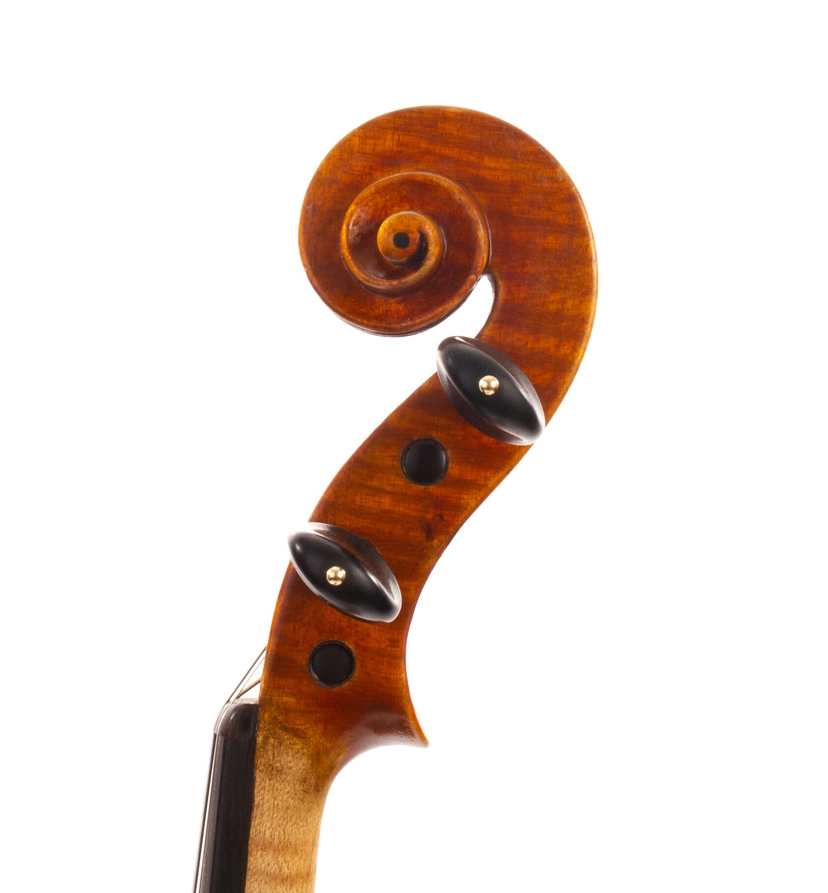 Vincenzo Cavani Violin - Modena 1955 | Dolce Violins