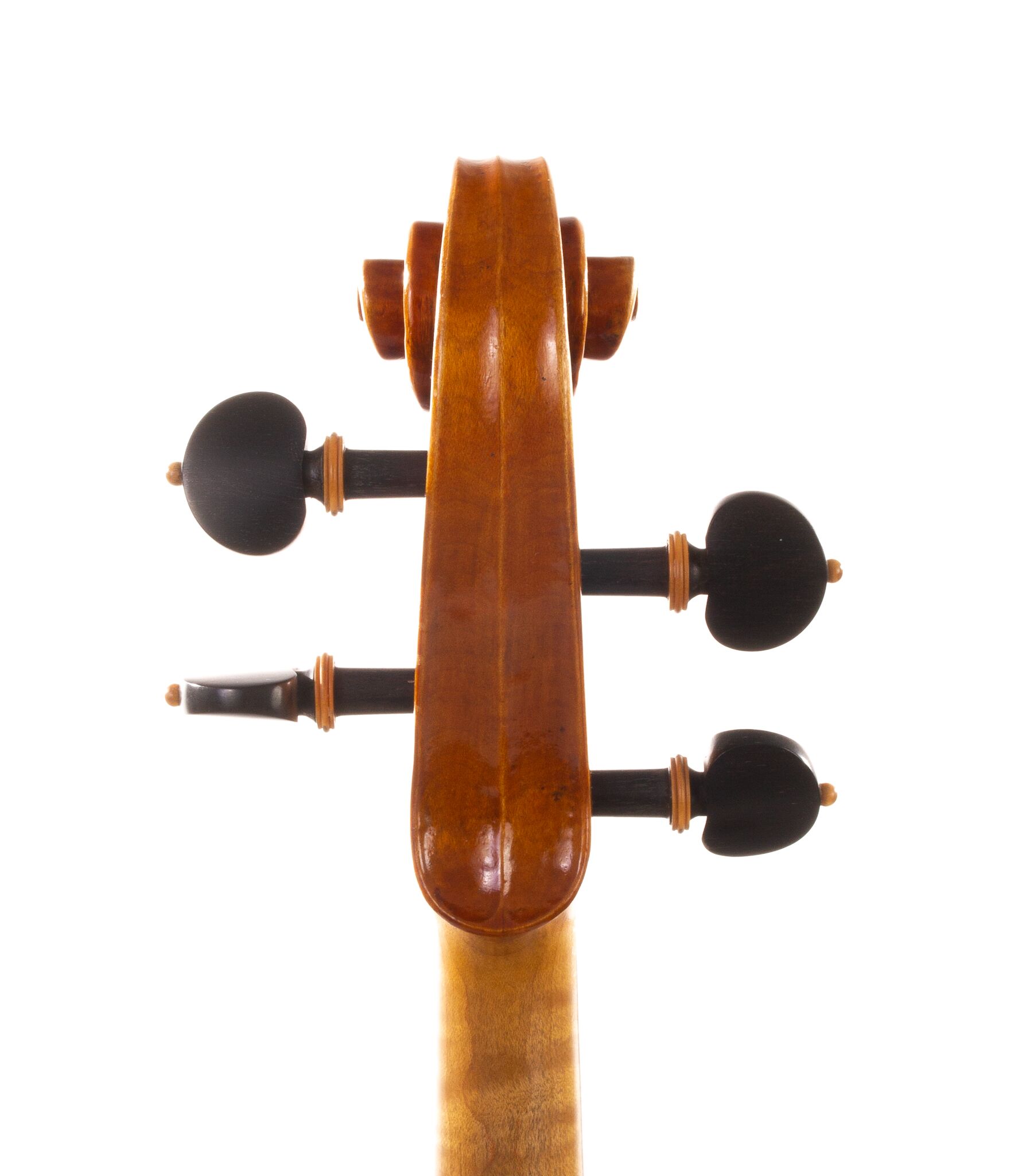 david-prentice-viola-2006-01