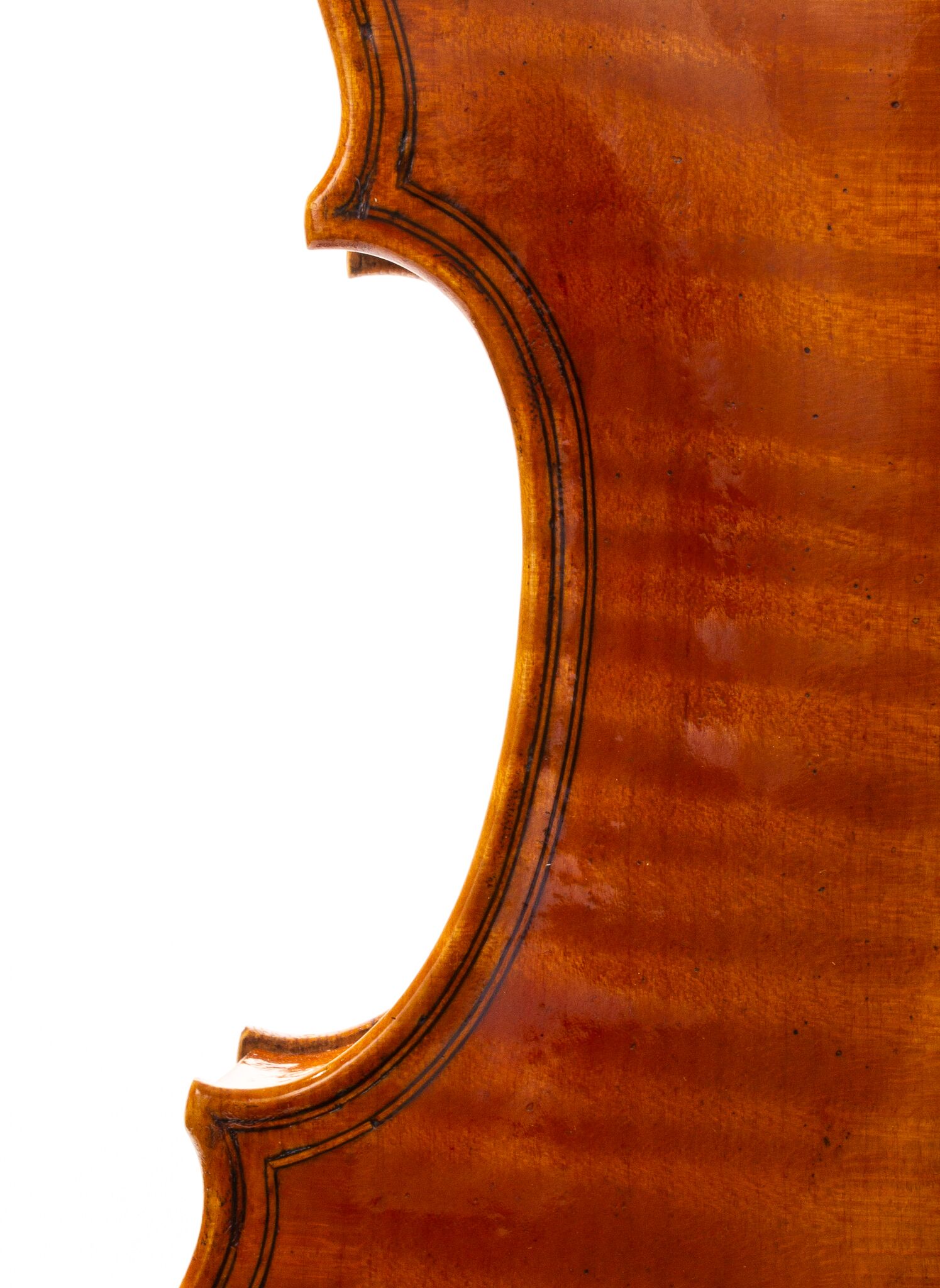 david-prentice-viola-2006-02