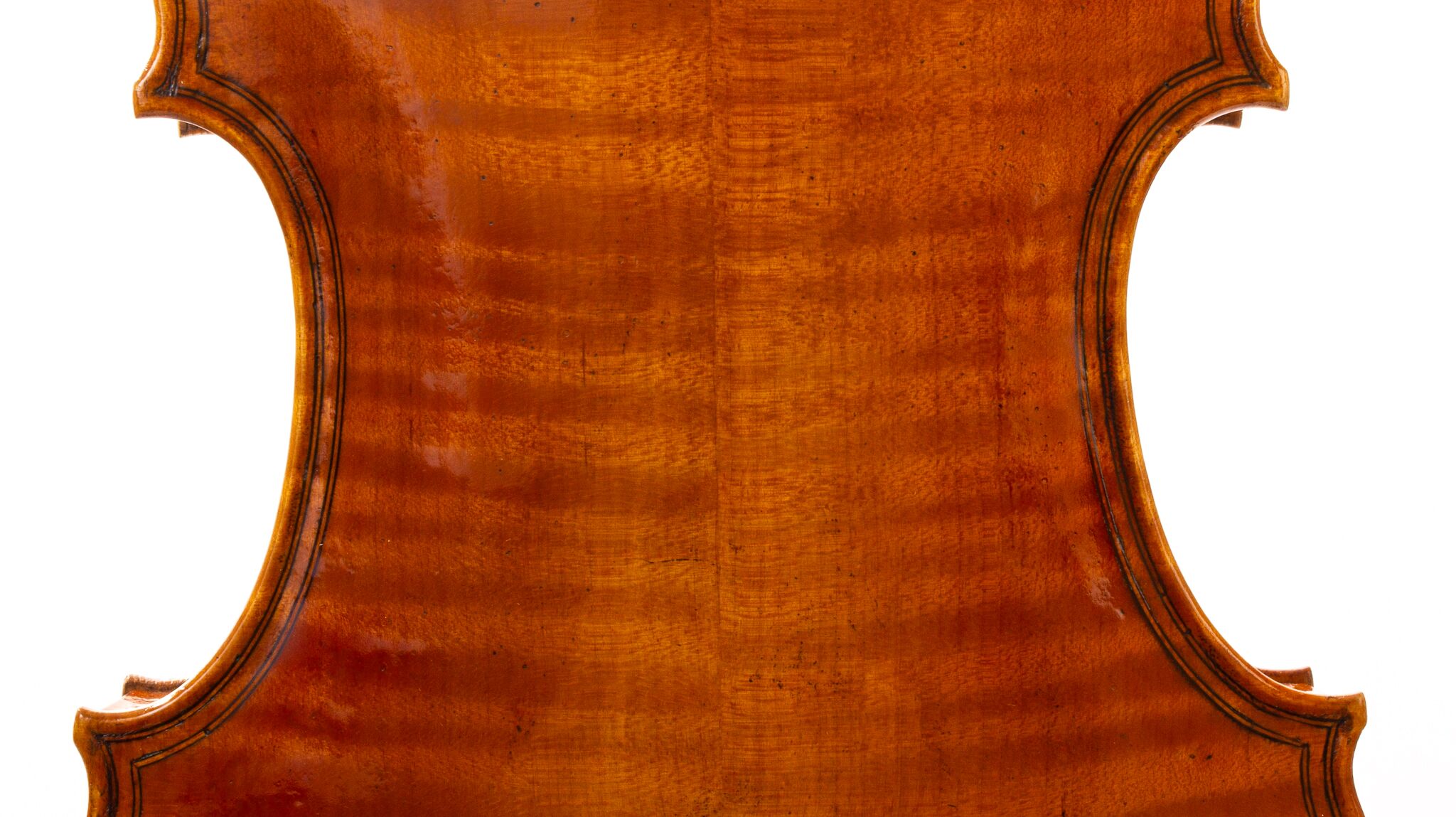 david-prentice-viola-2006-03