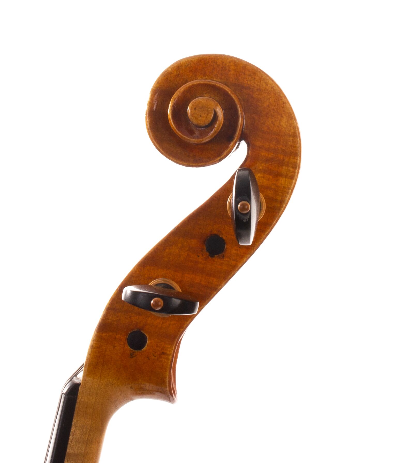 david-prentice-viola-2006-05