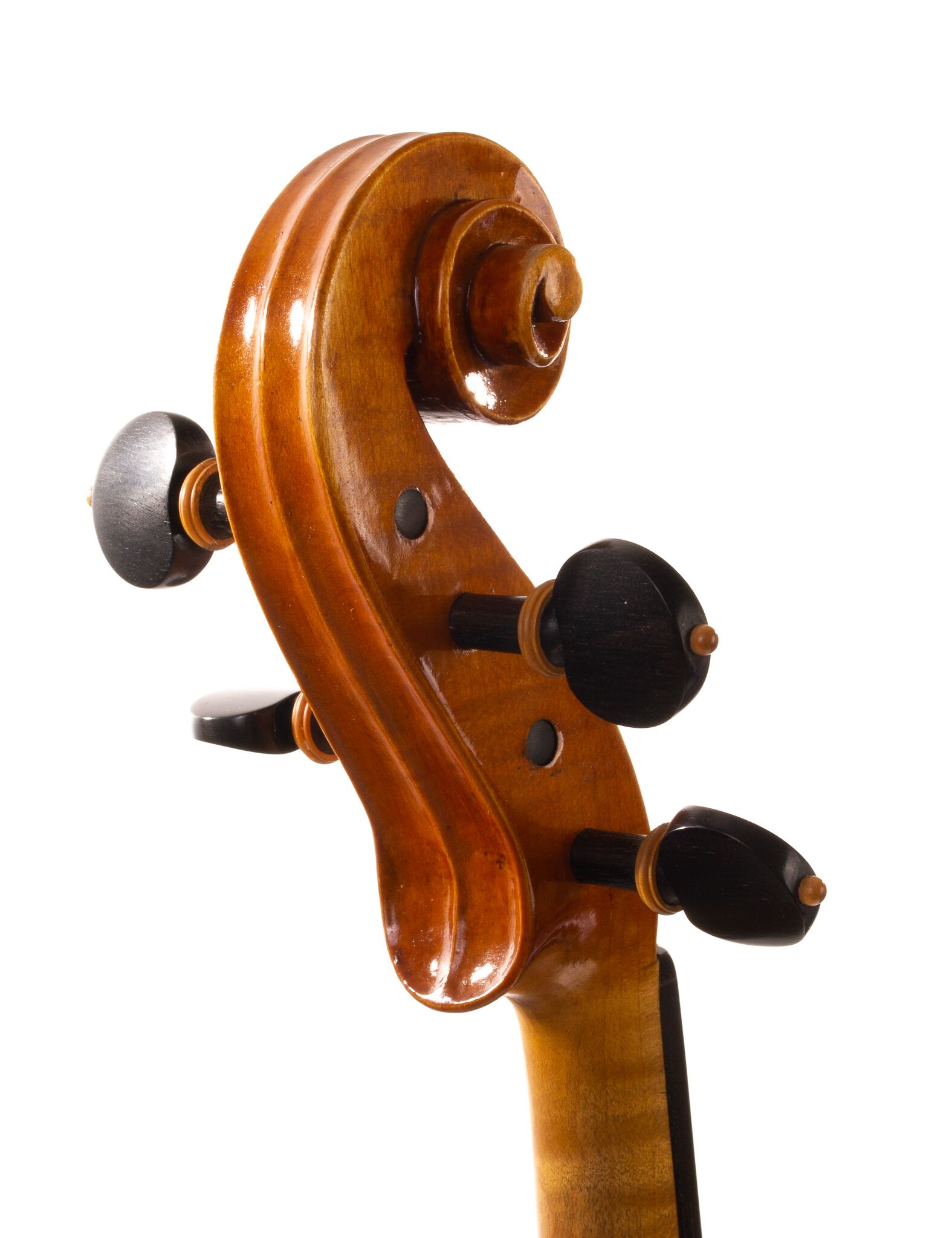 david-prentice-viola-2006-06