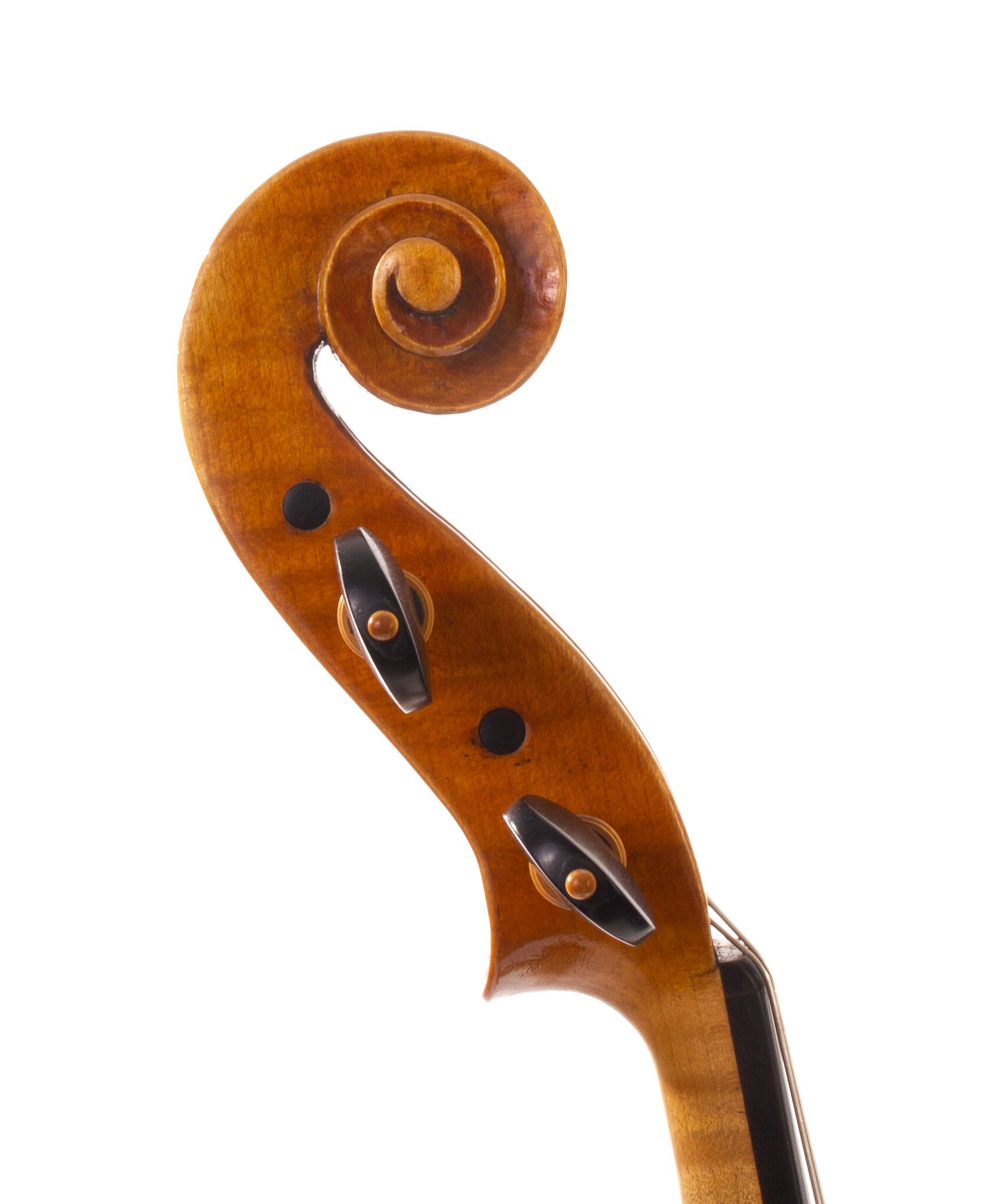 david-prentice-viola-2006-08