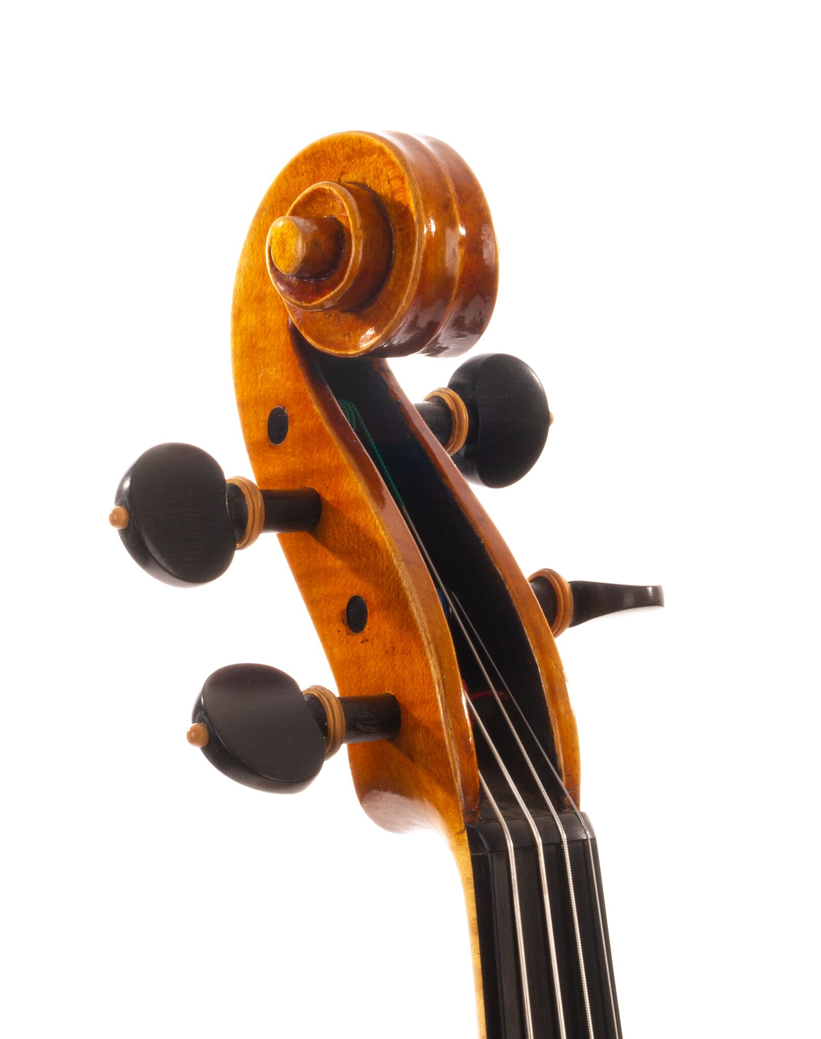 david-prentice-viola-2006-11