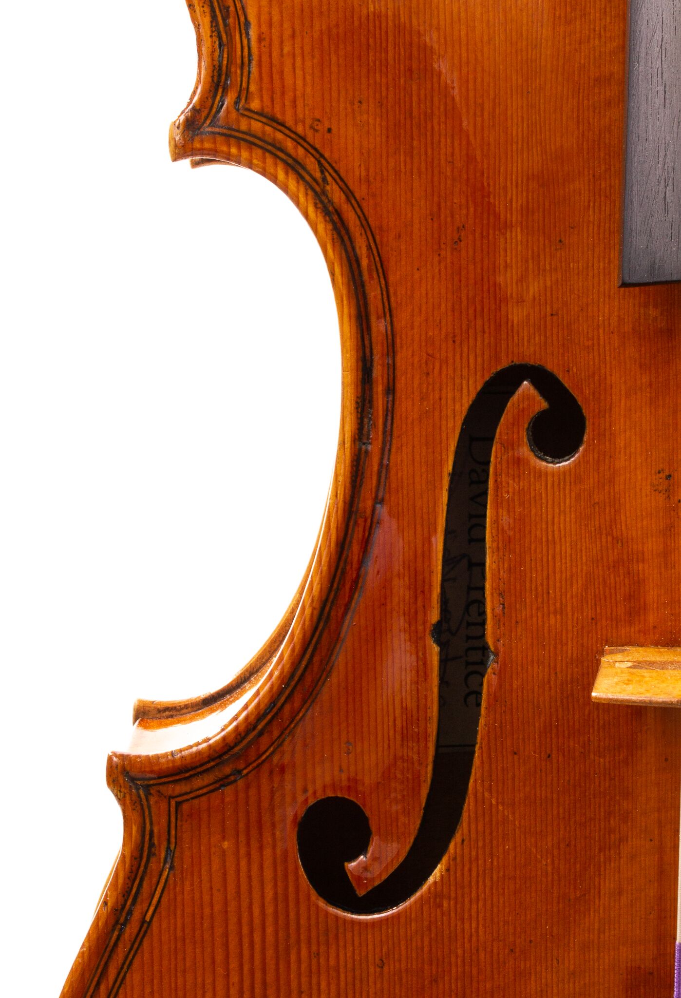 david-prentice-viola-2006-13