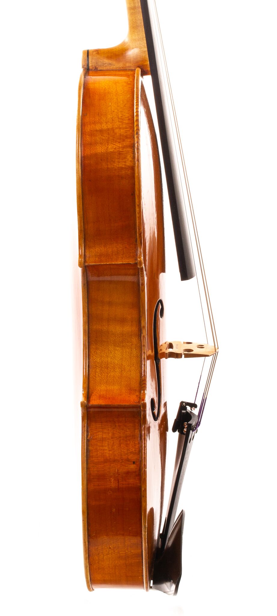 david-prentice-viola-2006-3