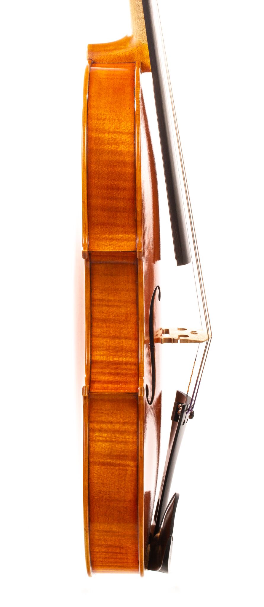 frederik-bethke-viola-2021-09