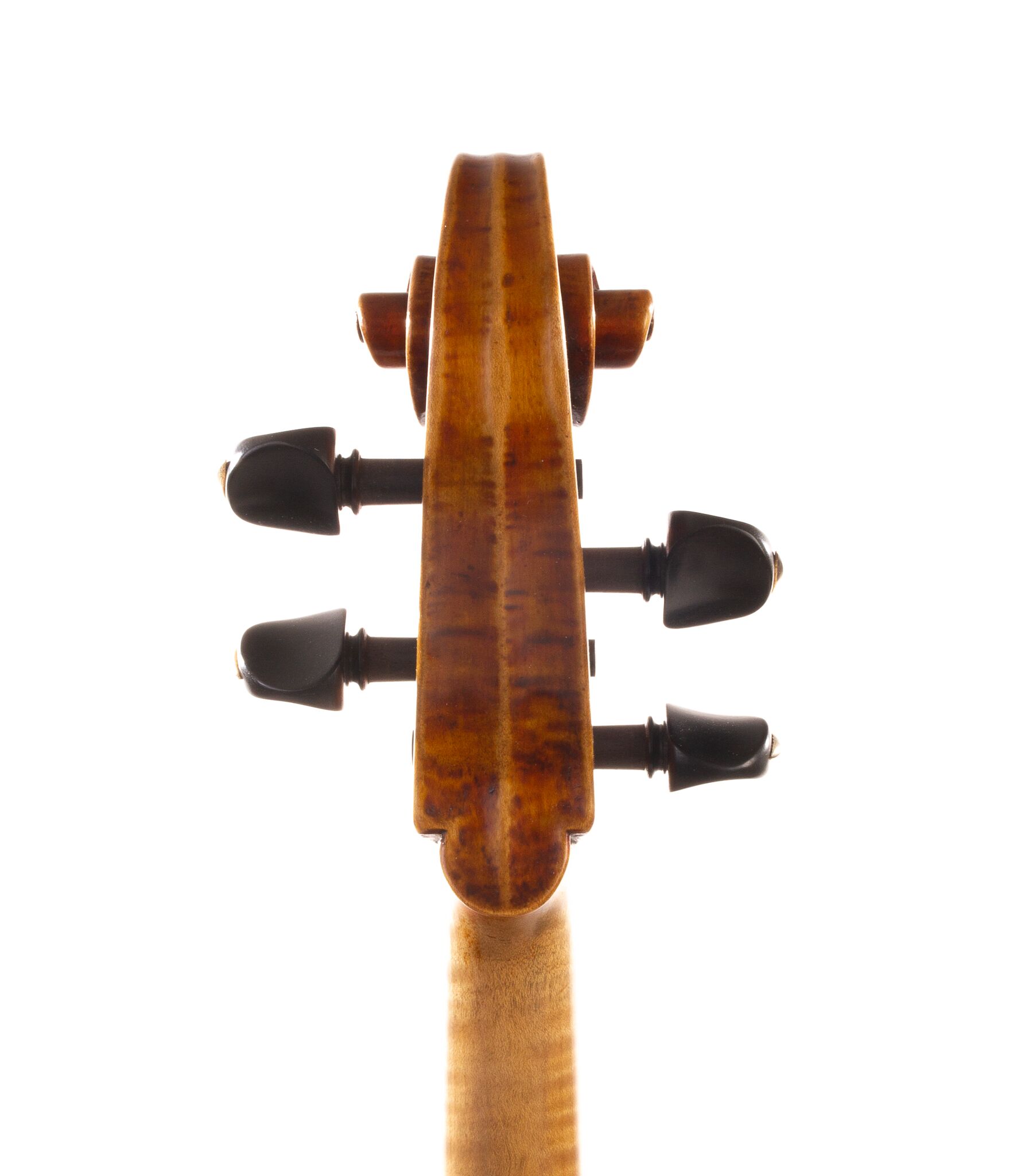 will-whedbee-viola-2006-05