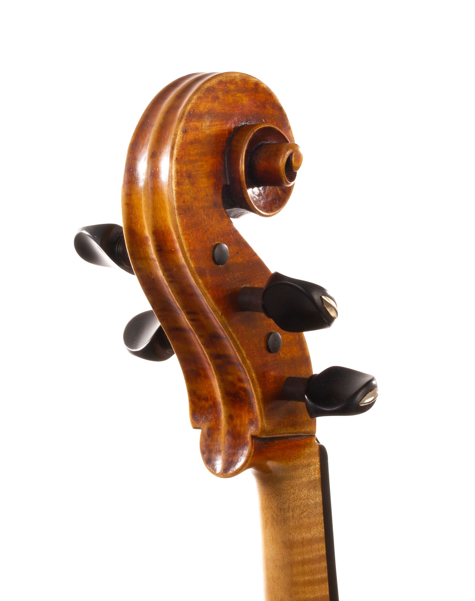 will-whedbee-viola-2006-10