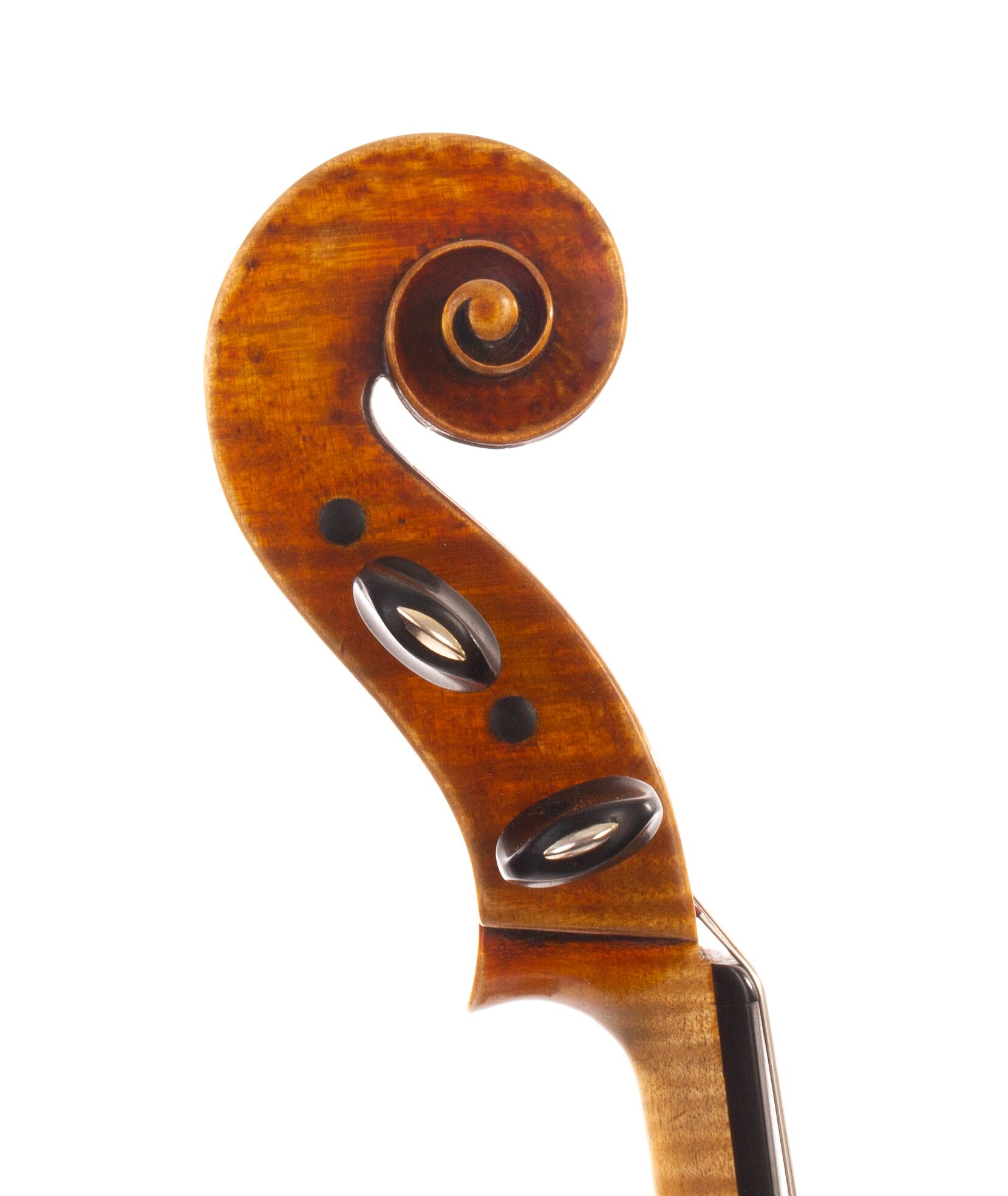 will-whedbee-viola-2006-12