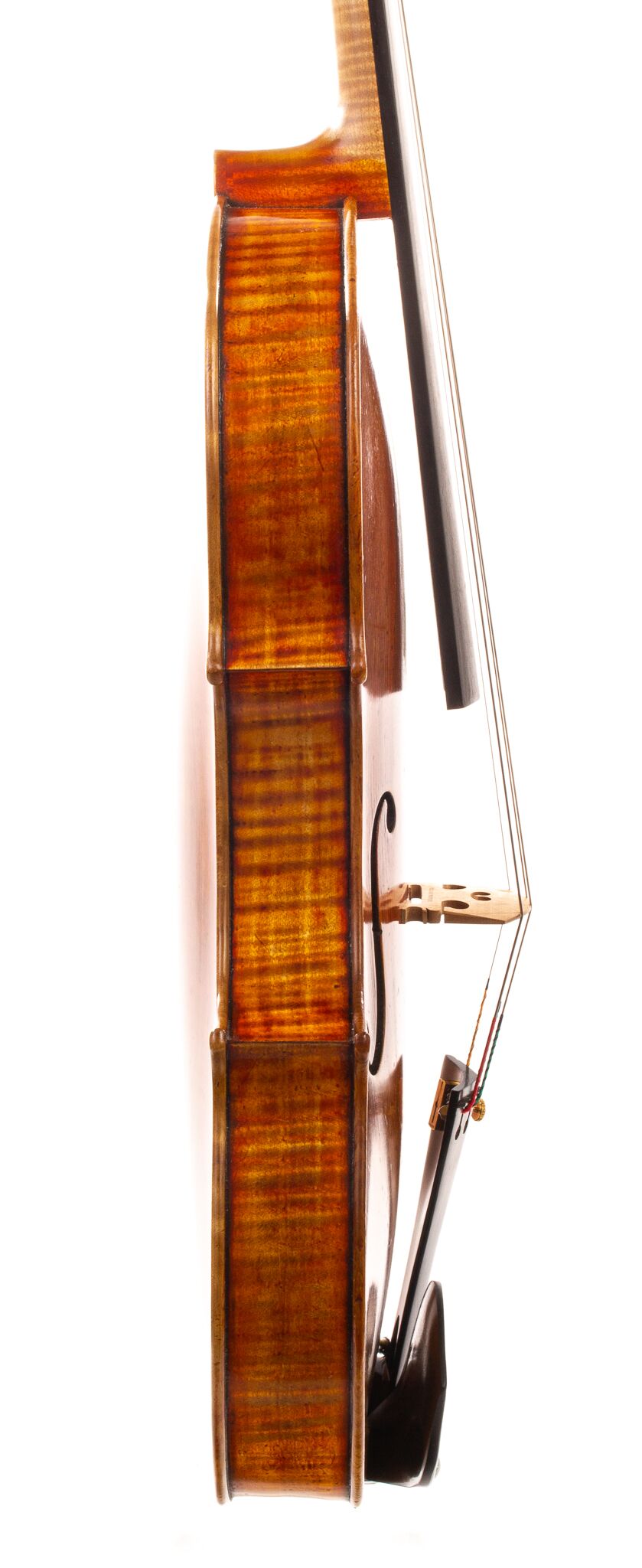 will-whedbee-viola-2006-13