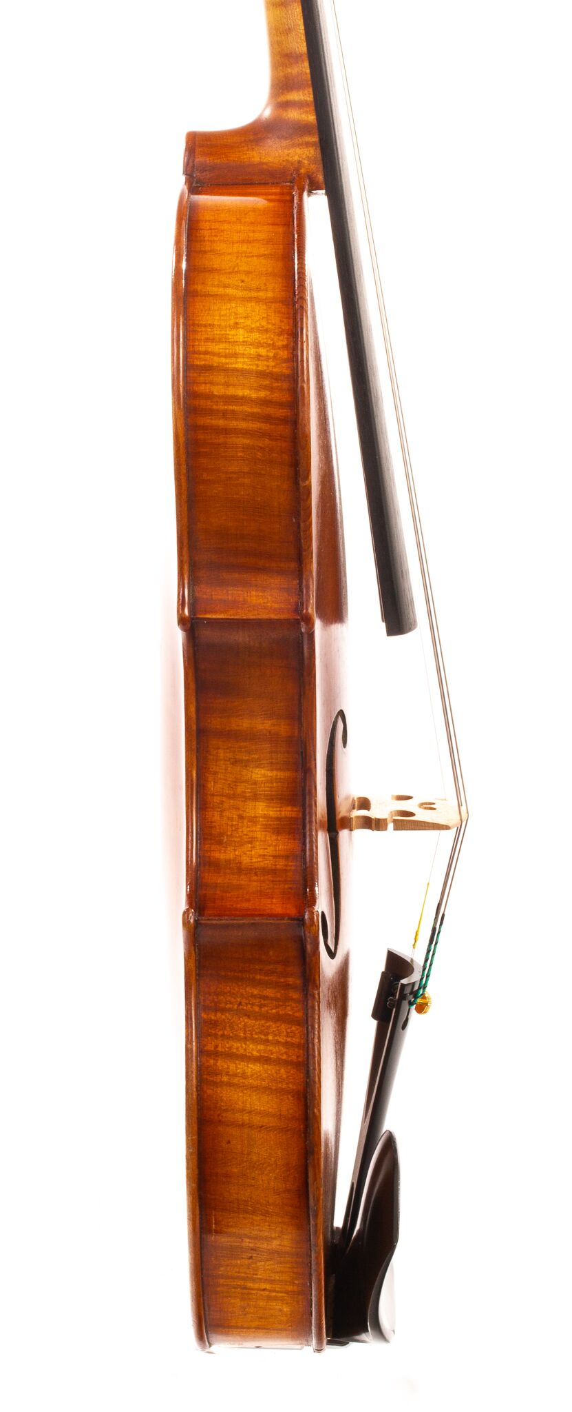bruno-franz-paulus-violin-09