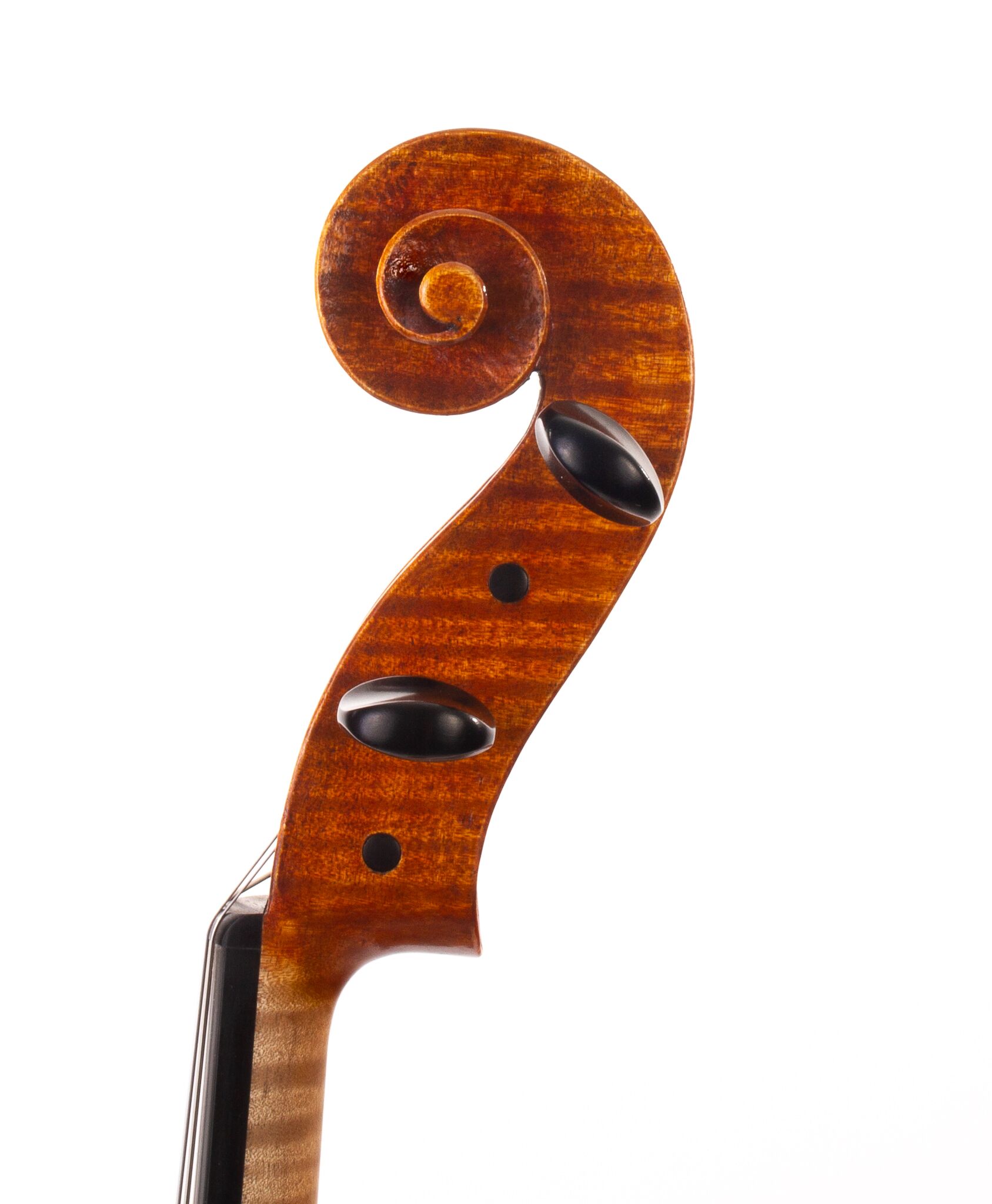 Julia-Felix-Viola-2023-01